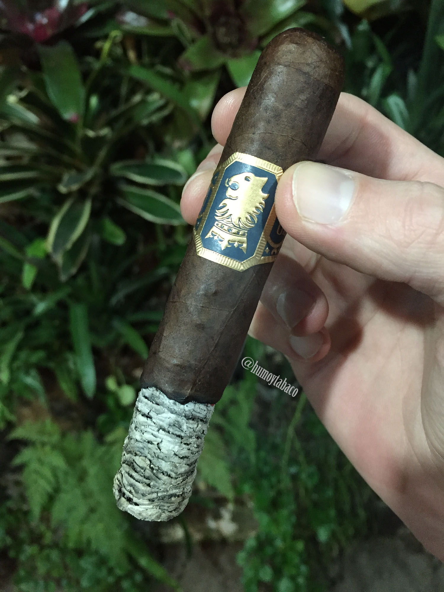 Drew Estate - Undercrown C