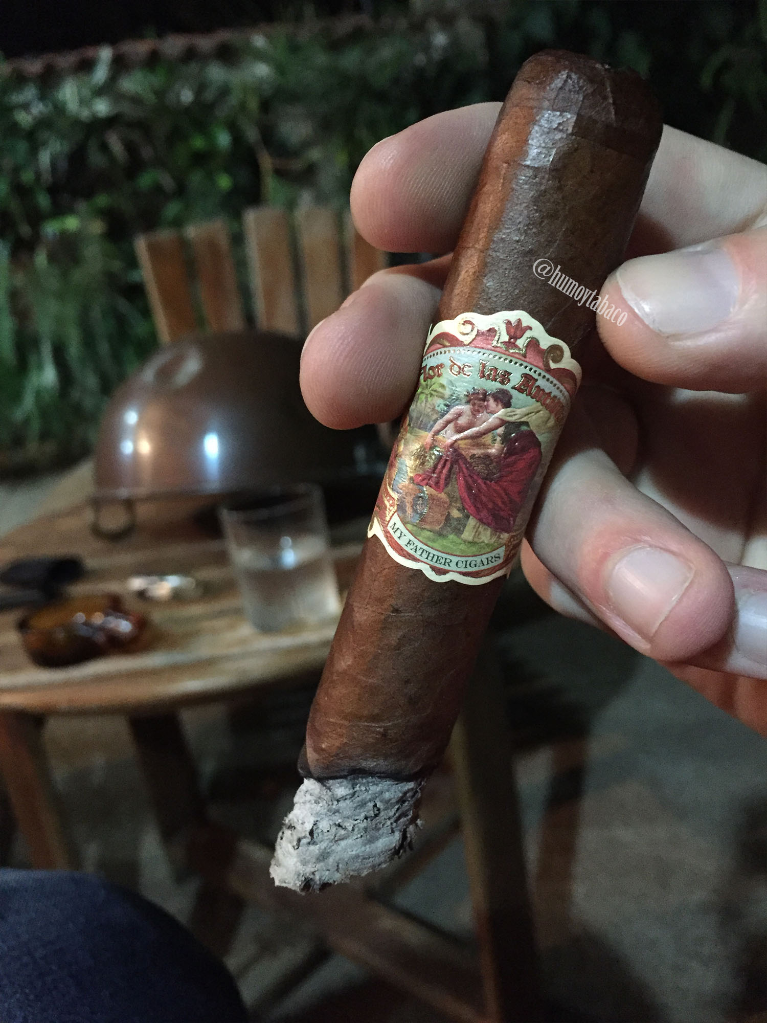 My Father - Flor de las Antillas 04