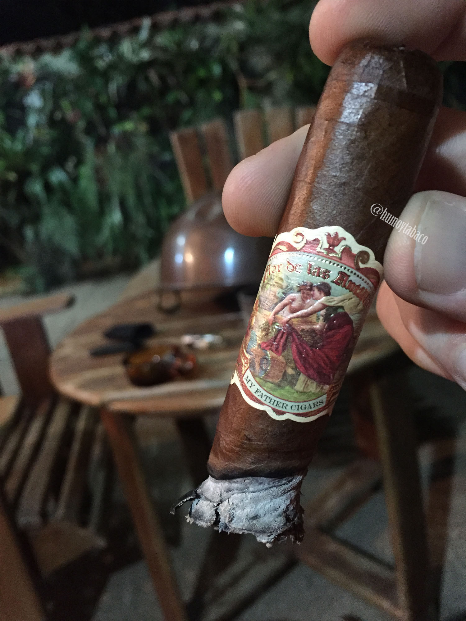 My Father - Flor de las Antillas 05