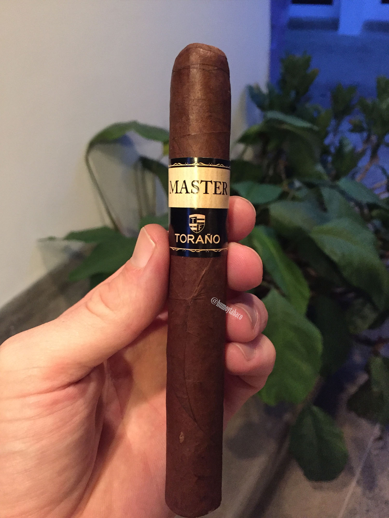 Carlos Toraño - Master 01