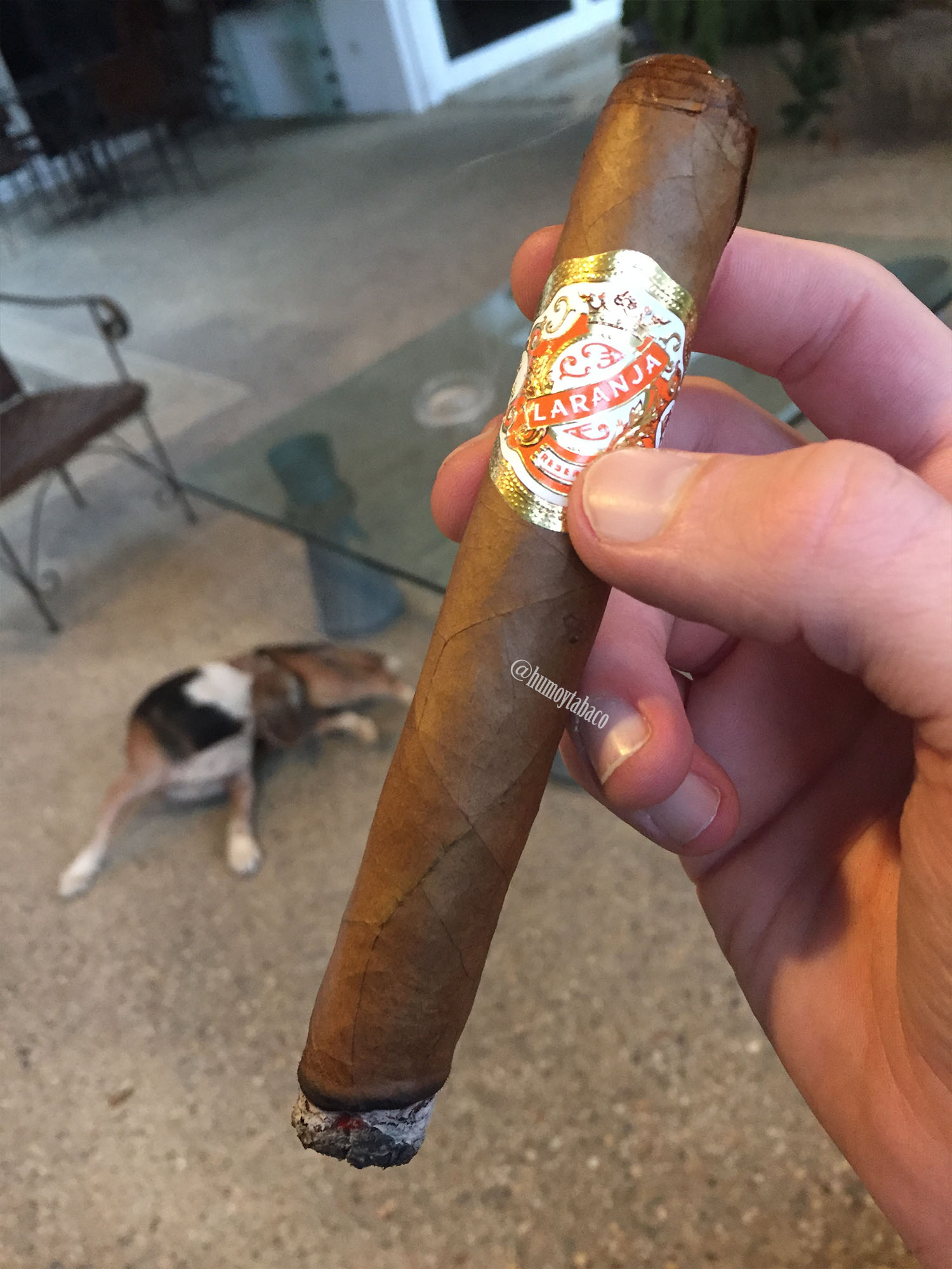 Espinosa - Laranja 02