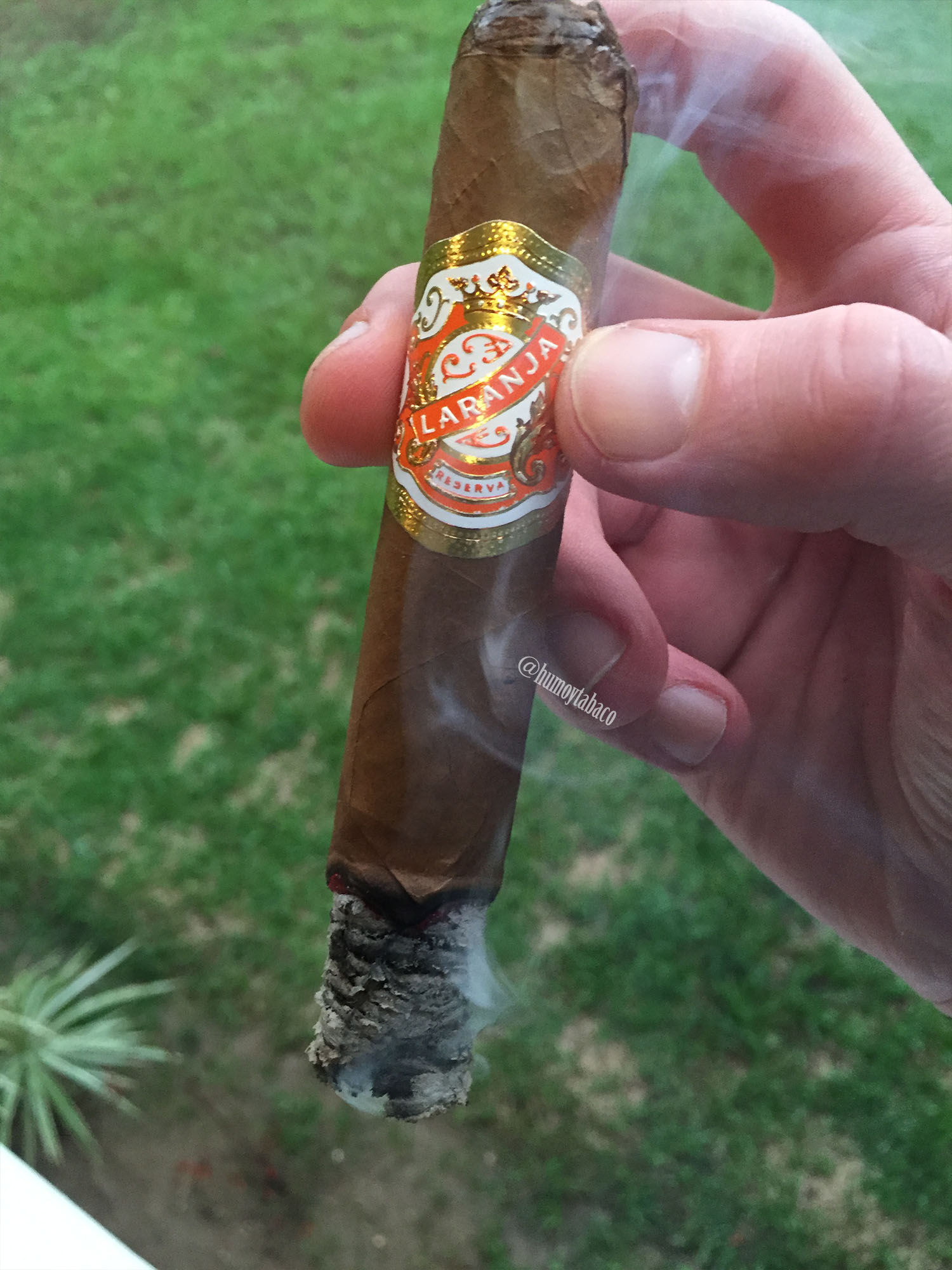 Espinosa - Laranja 04