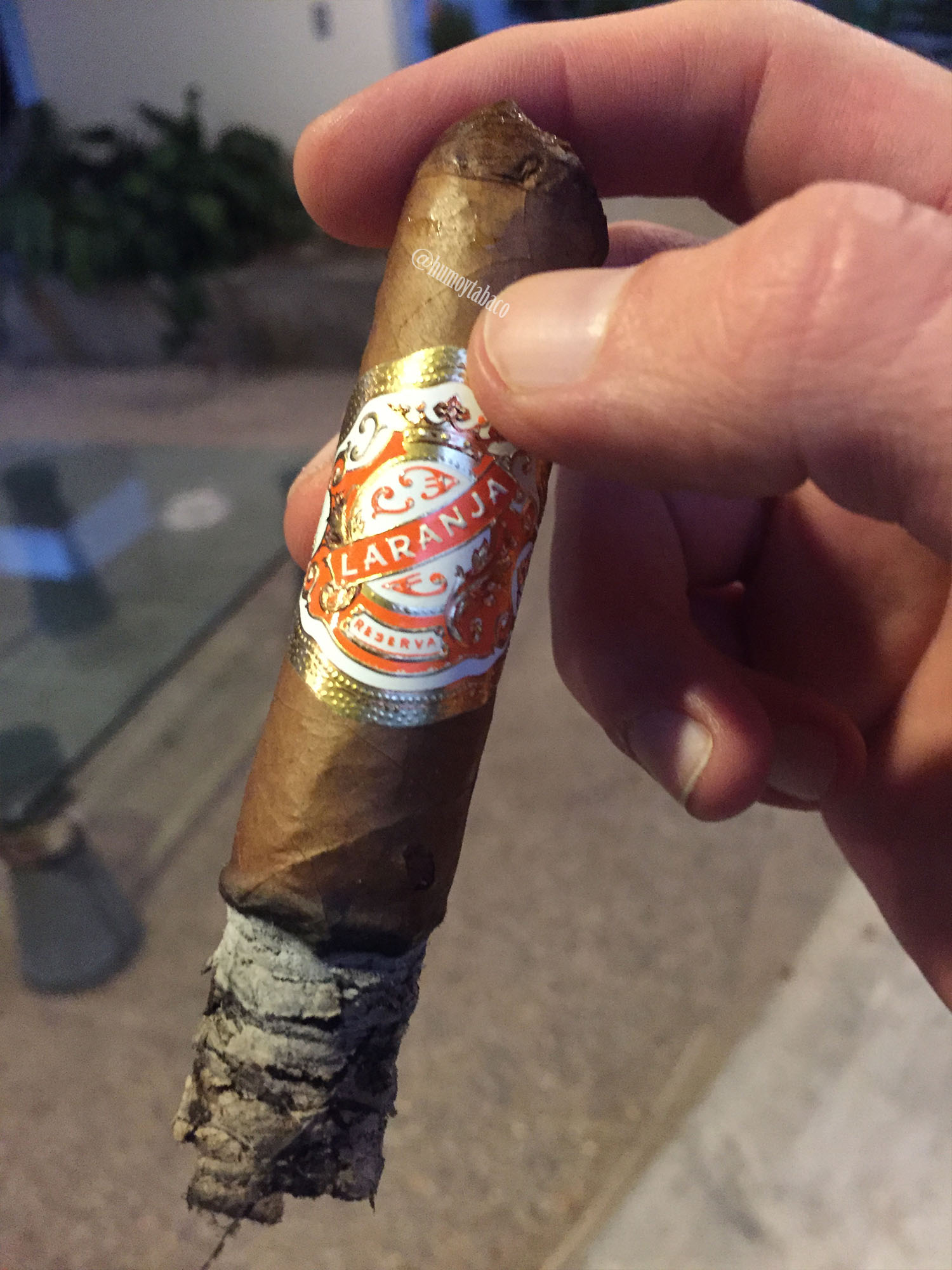 Espinosa - Laranja 05