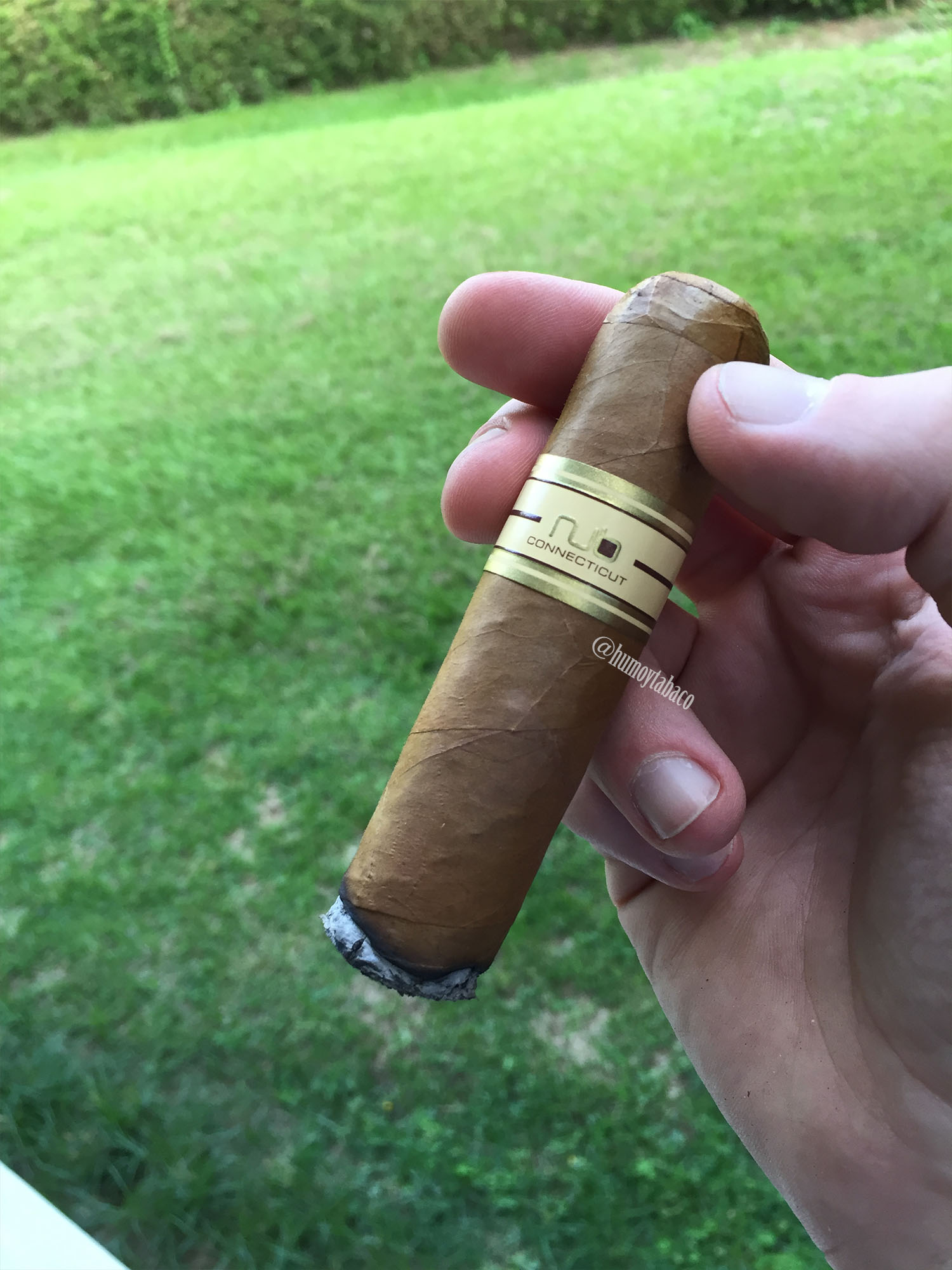 NUb - Connecticut 02