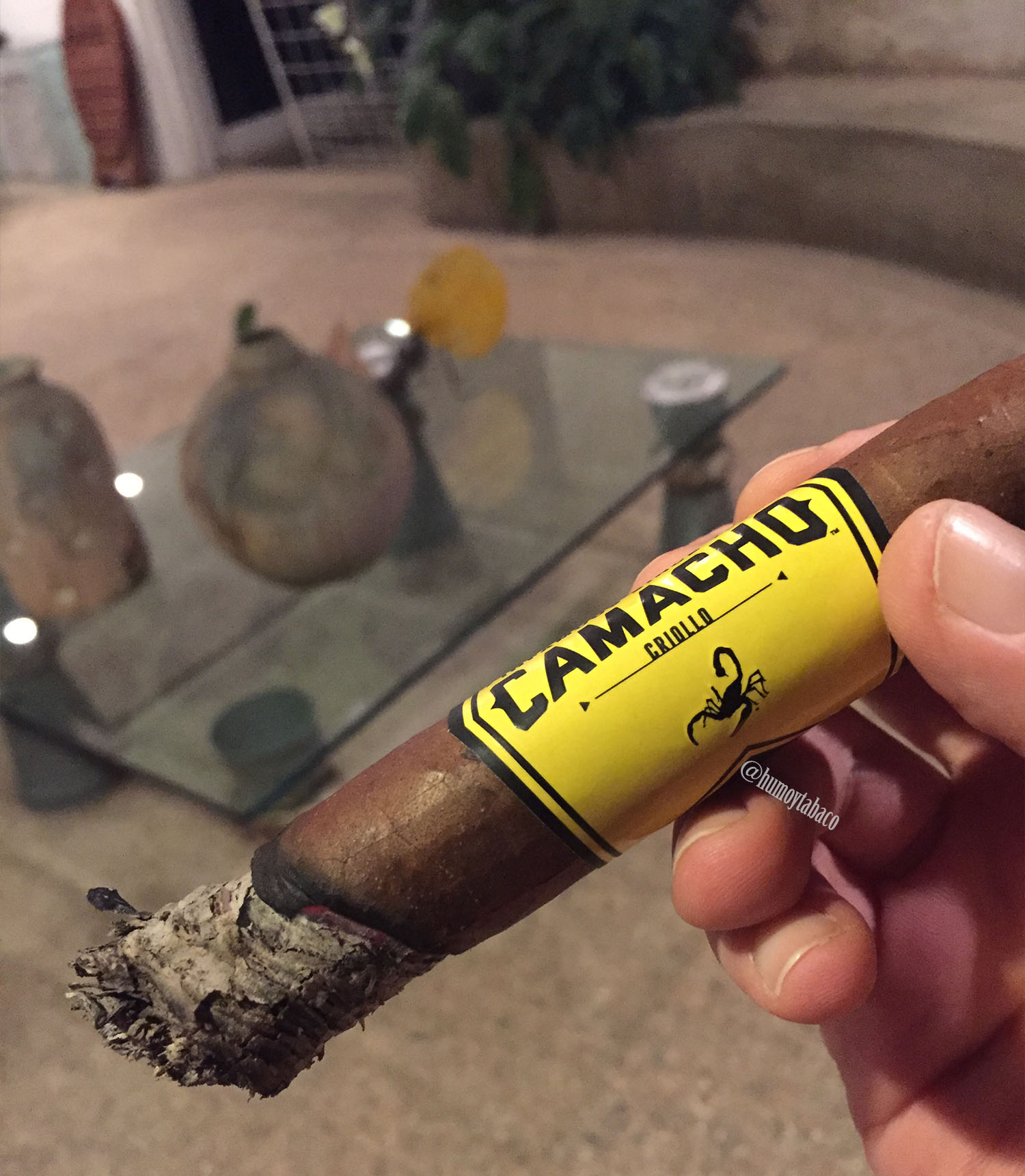 Camacho - Criollo 05