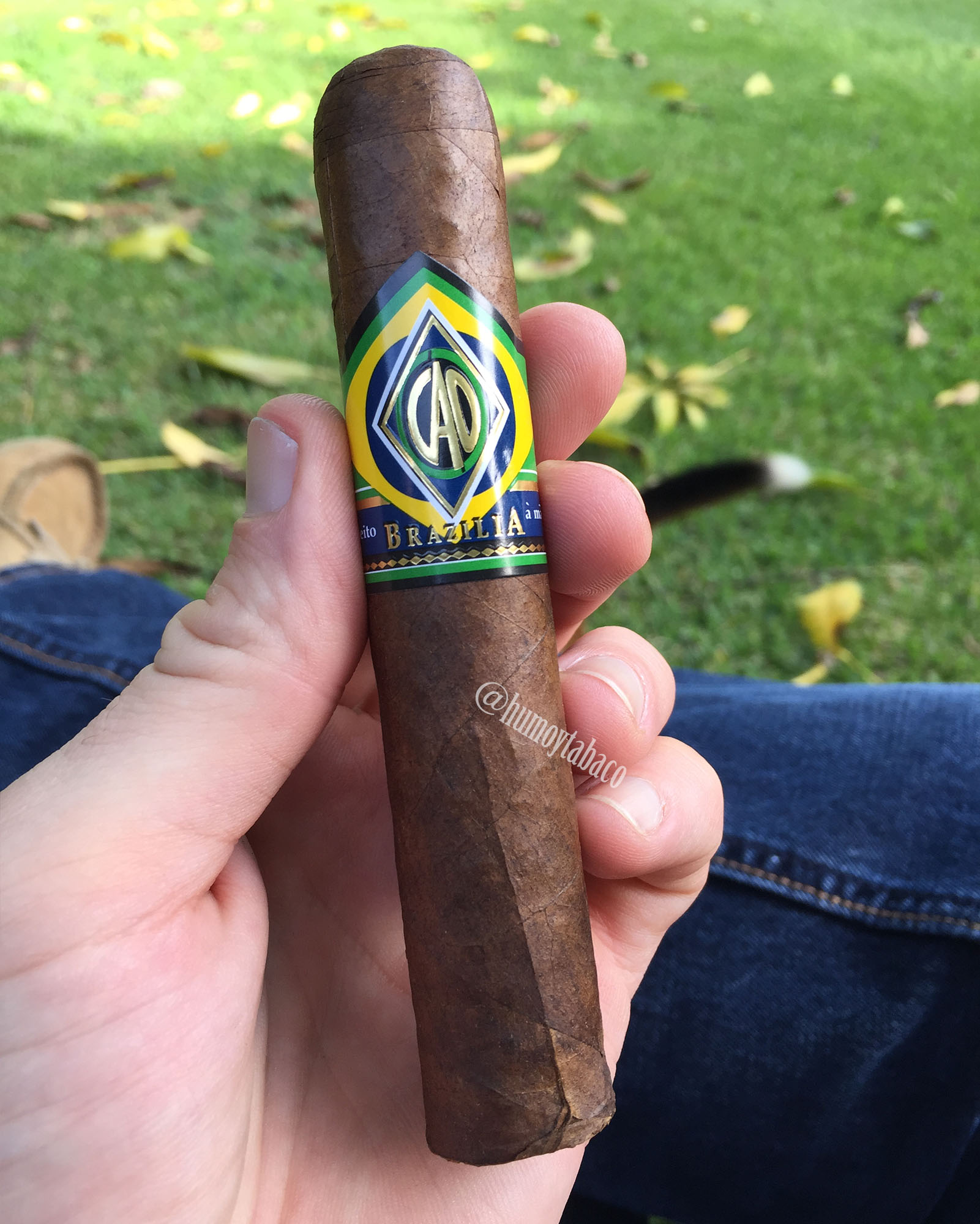 CAO - Brazilia 01