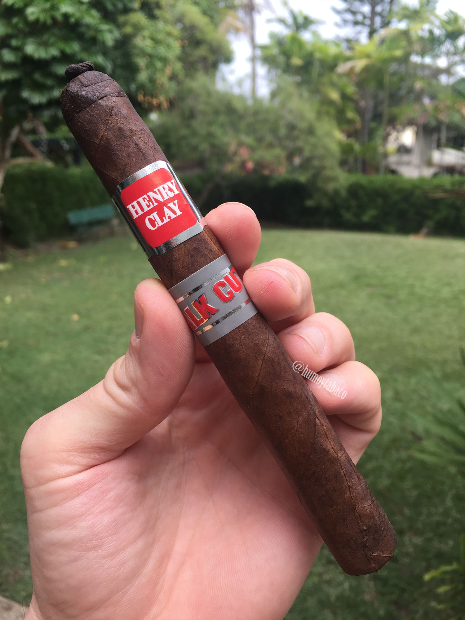 Henry Clay - Stalk Cut 01