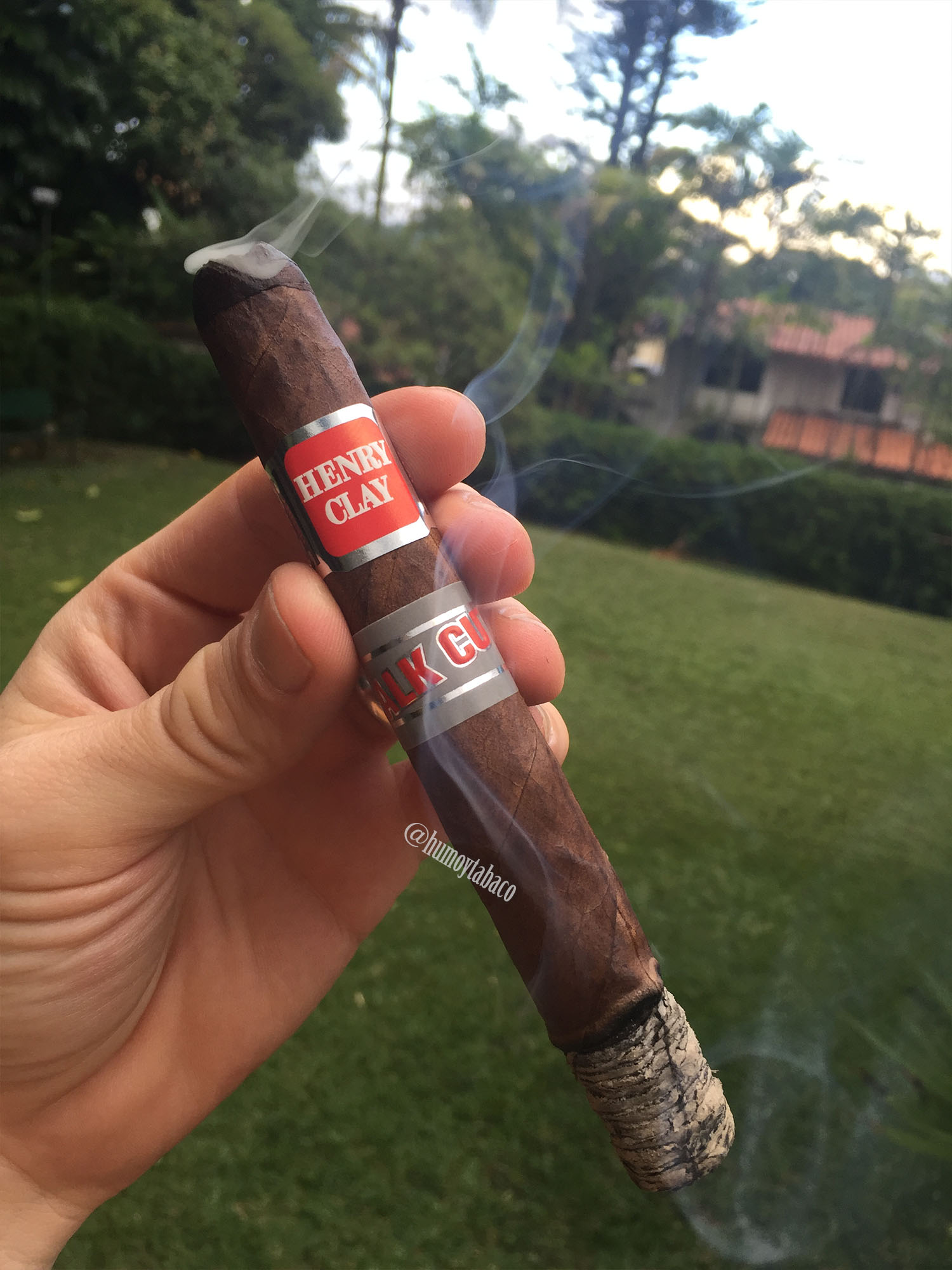 Henry Clay - Stalk Cut 03