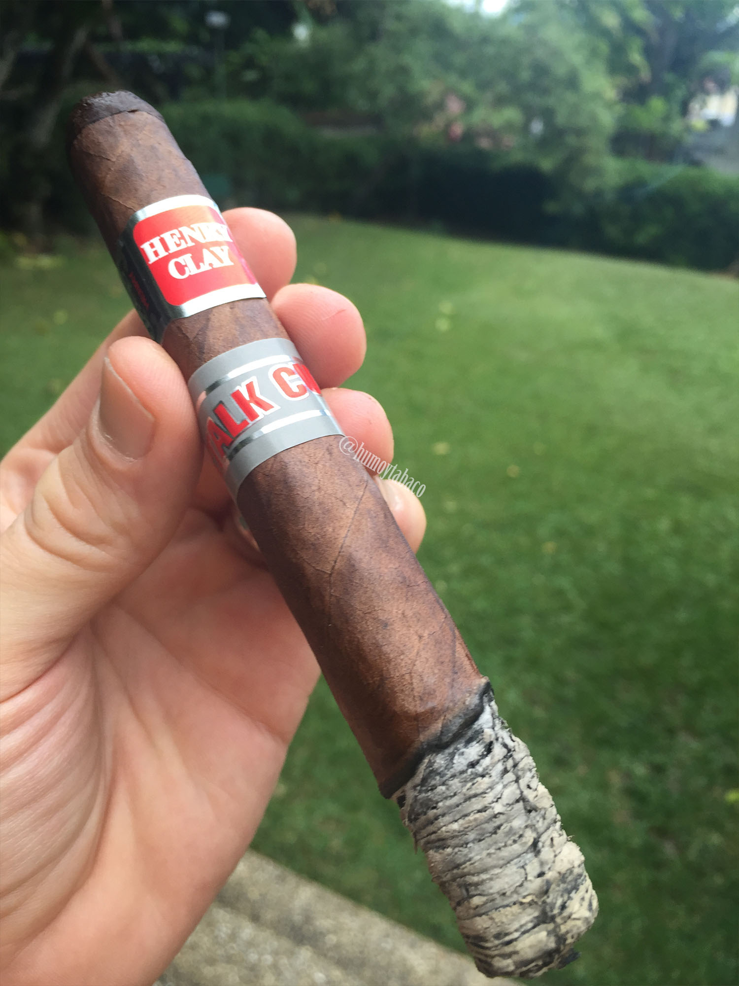 Henry Clay - Stalk Cut 04