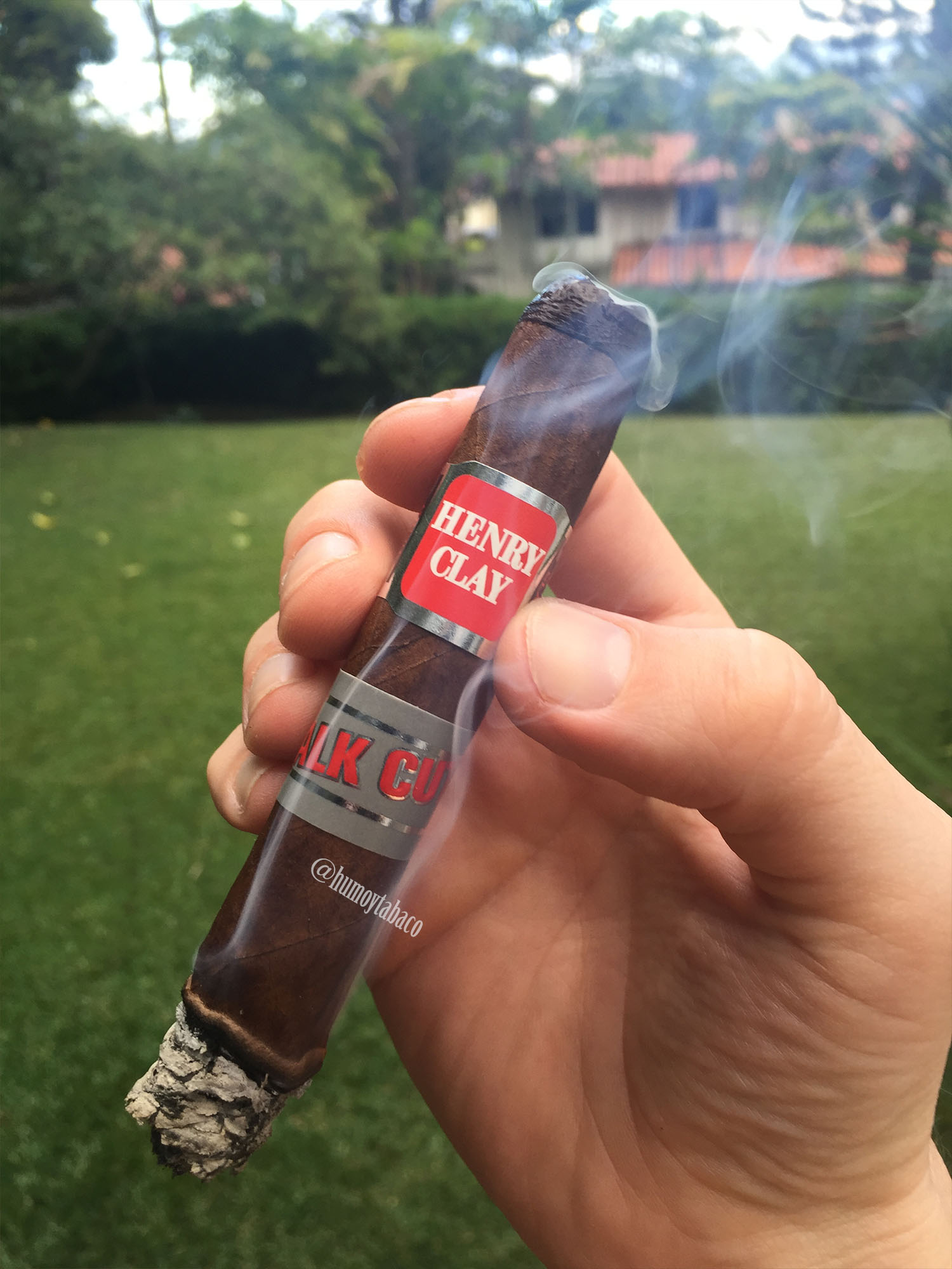 Henry Clay - Stalk Cut 05