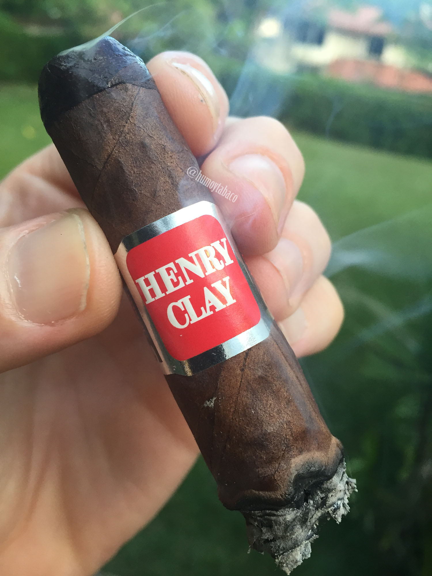 Henry Clay - Stalk Cut 06