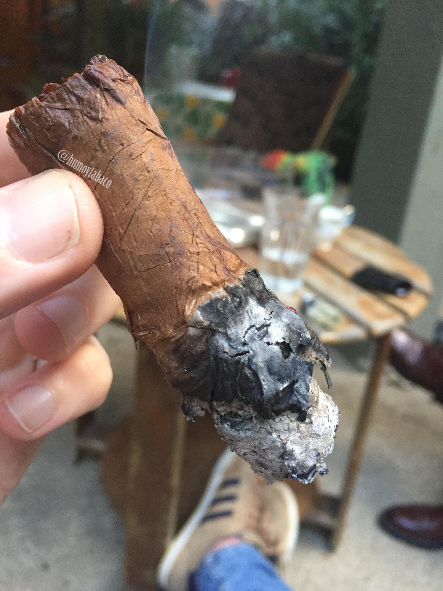 Macanudo - Vintage 2006 06