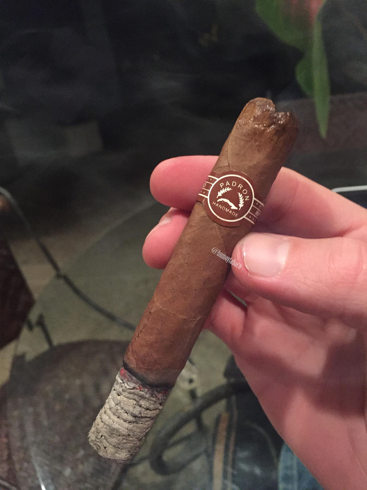 Padron - Delicias 04