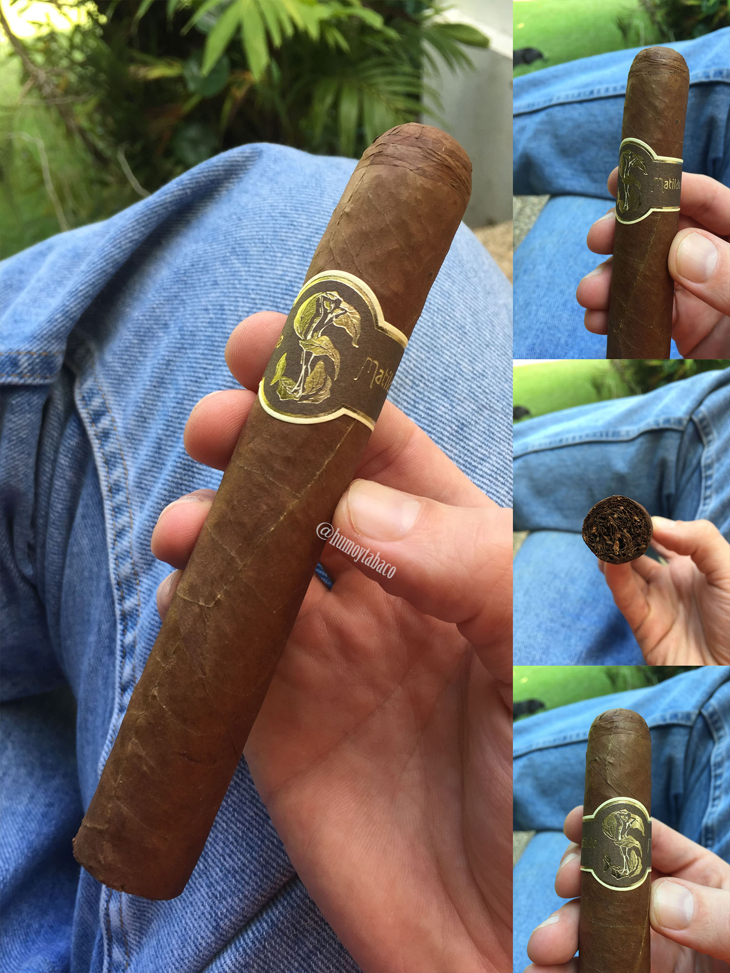 Matilde - Renacer 01