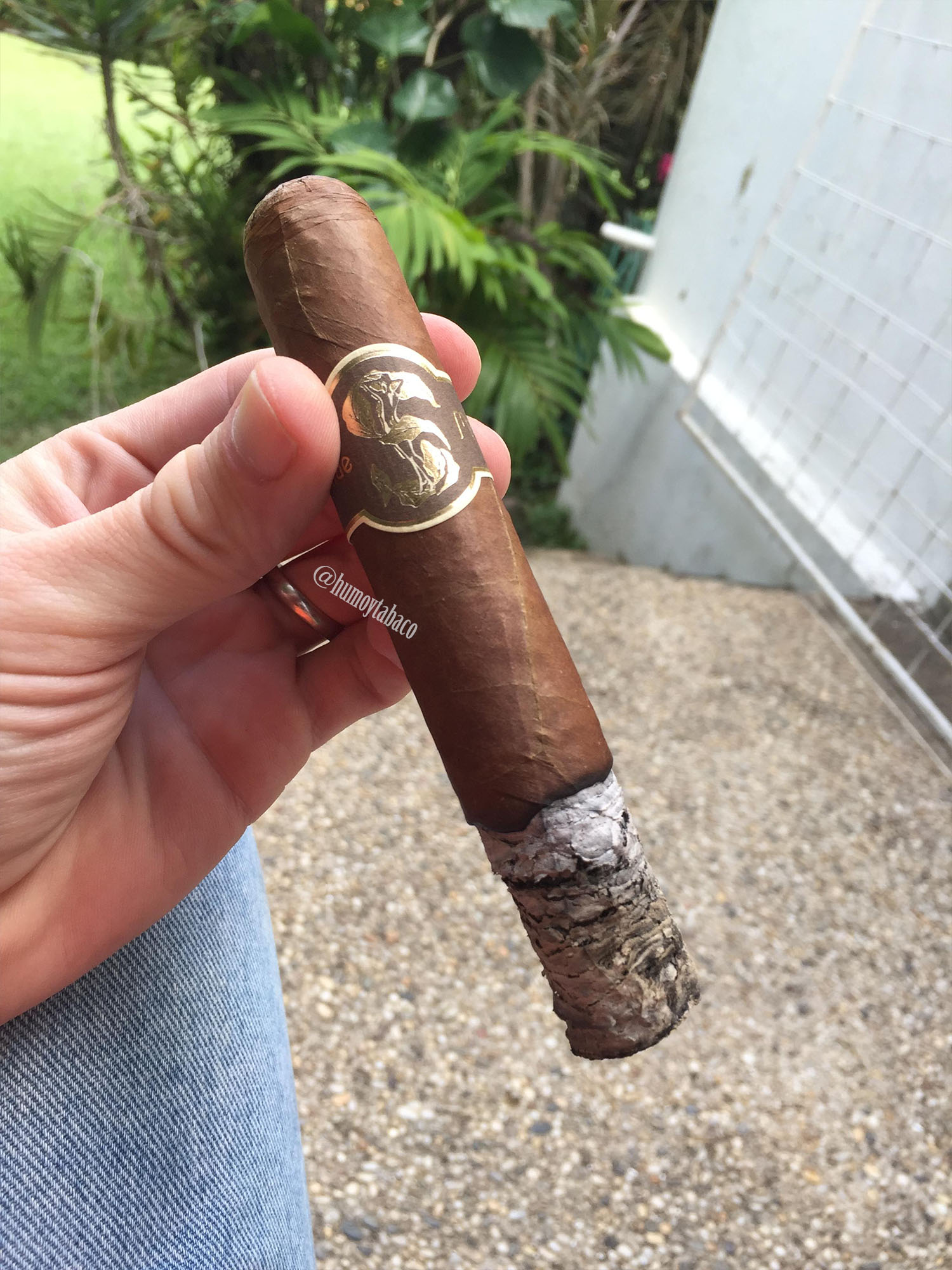 Matilde - Renacer 03