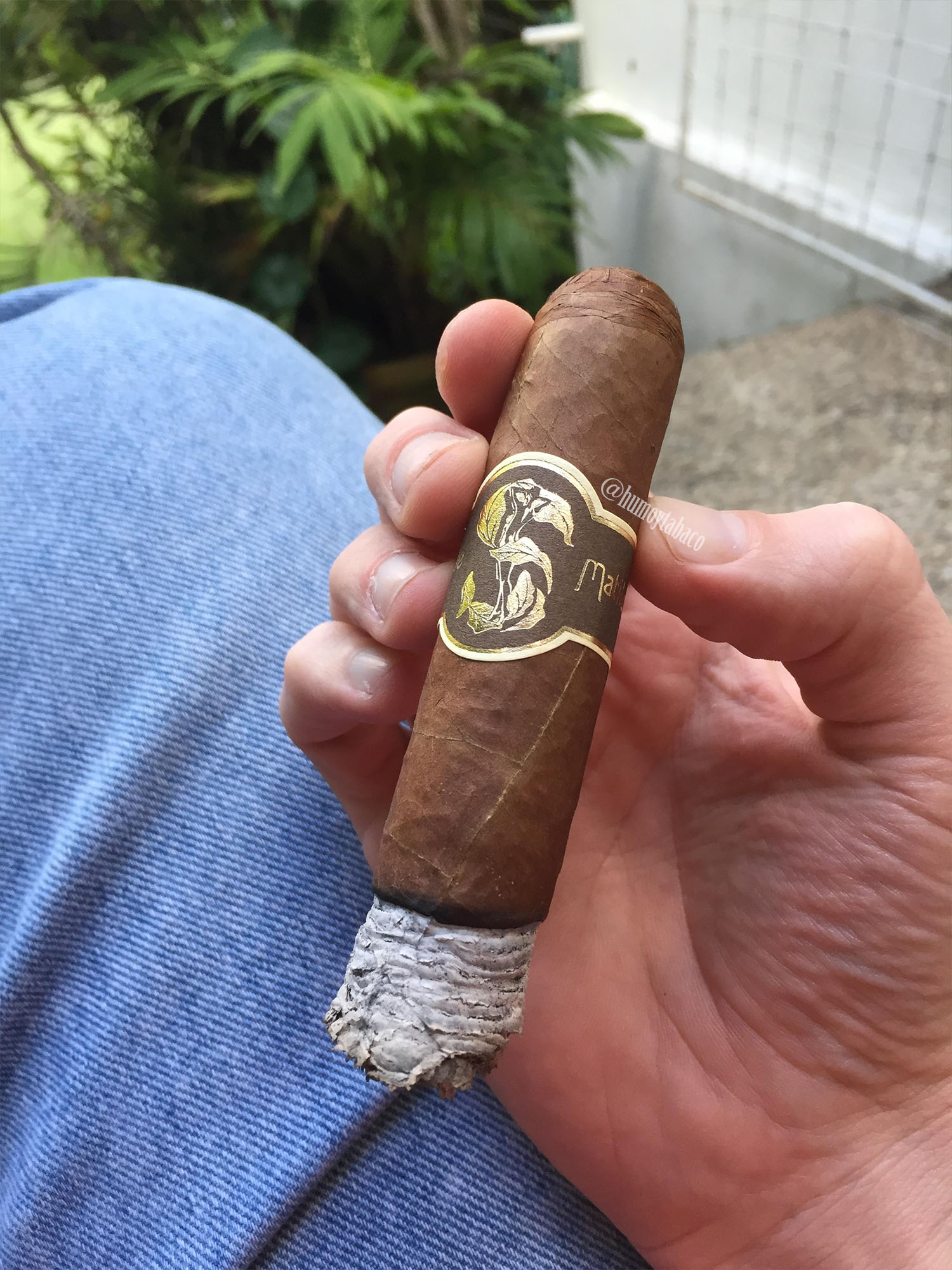 Matilde - Renacer 04