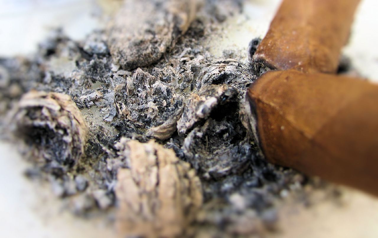 2057766678_7753576546_o