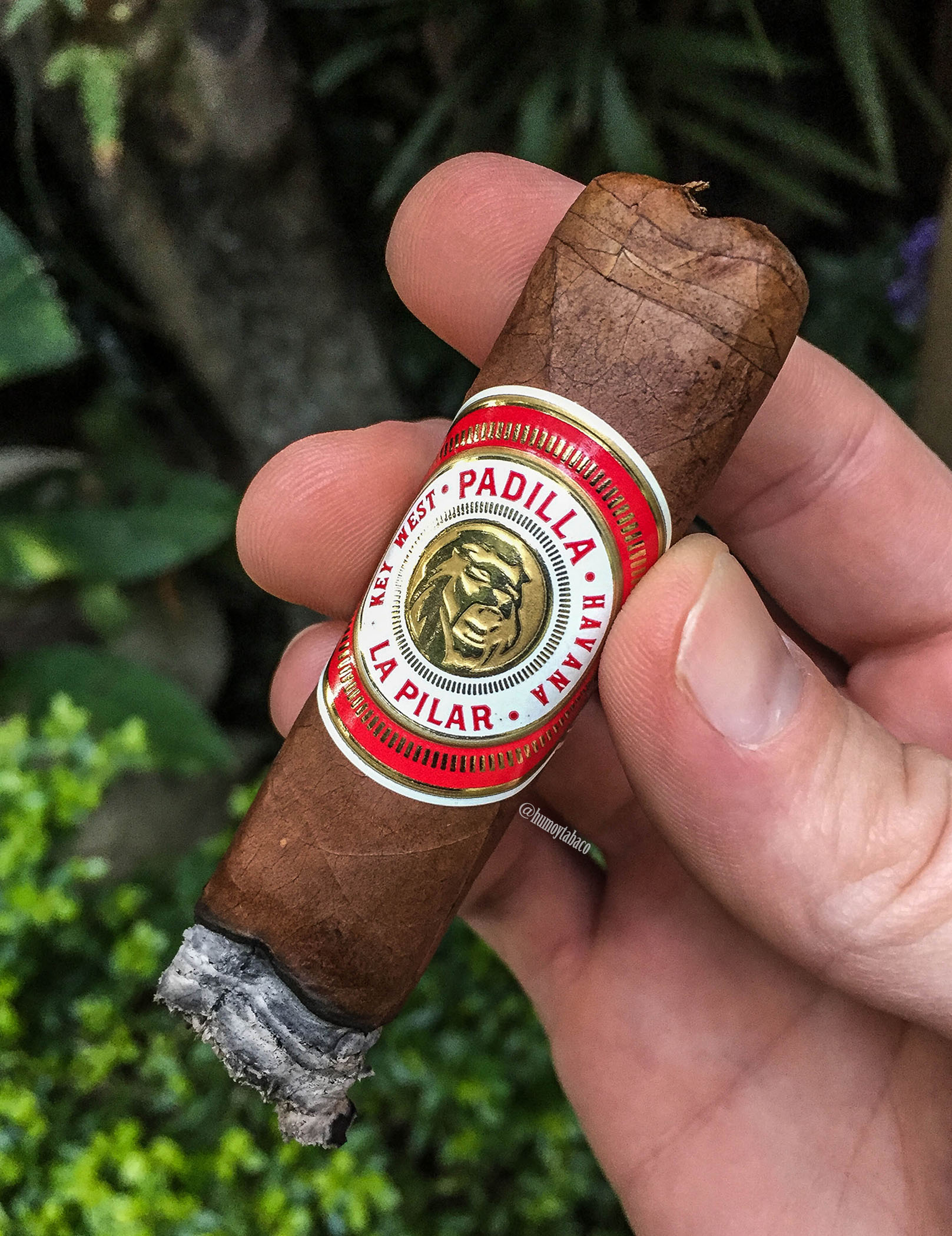 Padilla - La Pilar 05