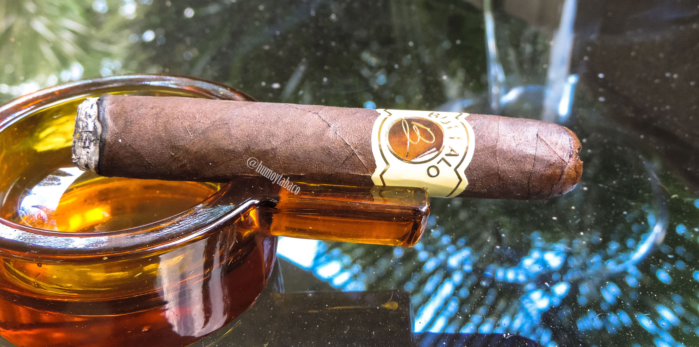 Buffalo Cigars - Robusto 02