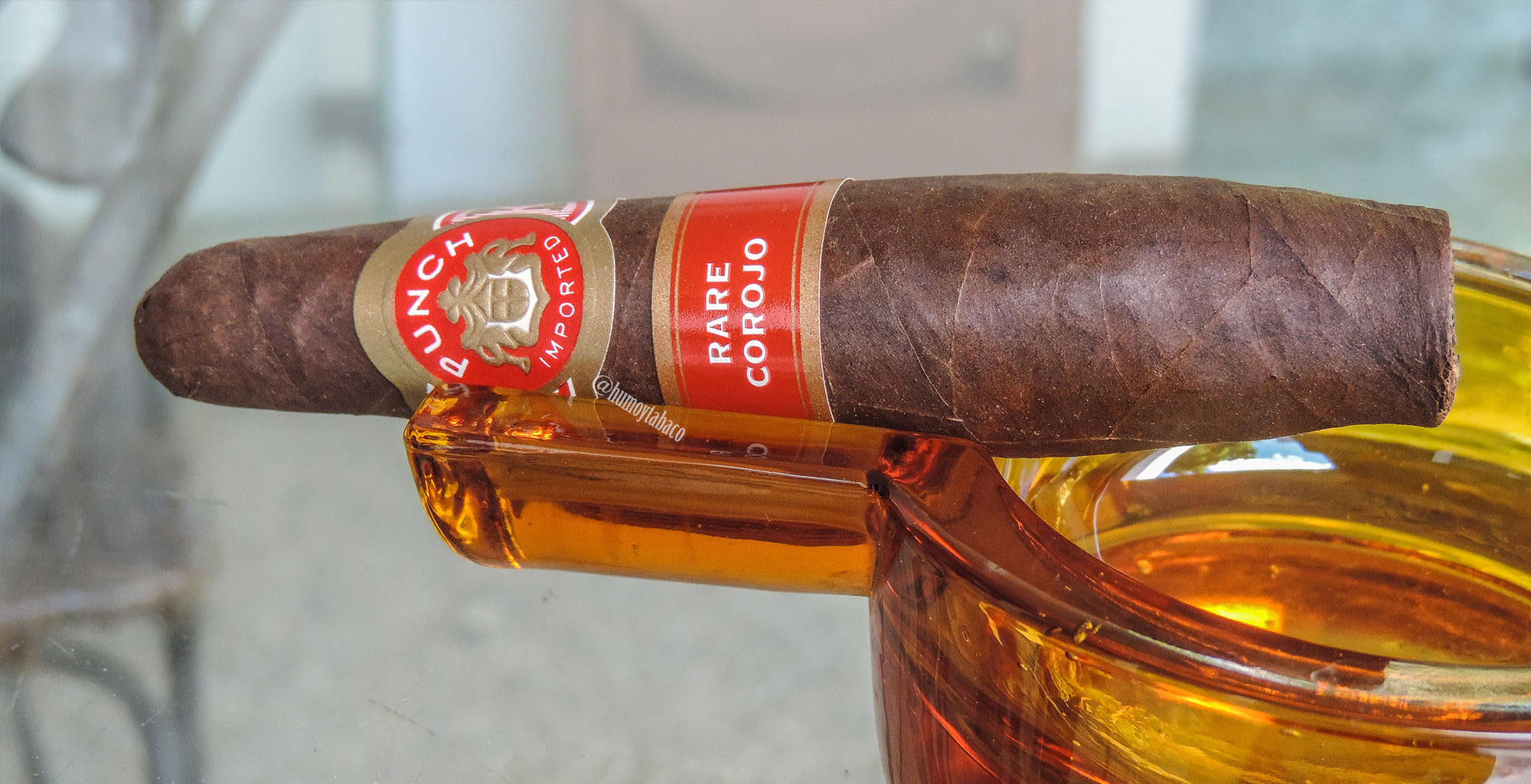 Punch - Rare Corojo 01