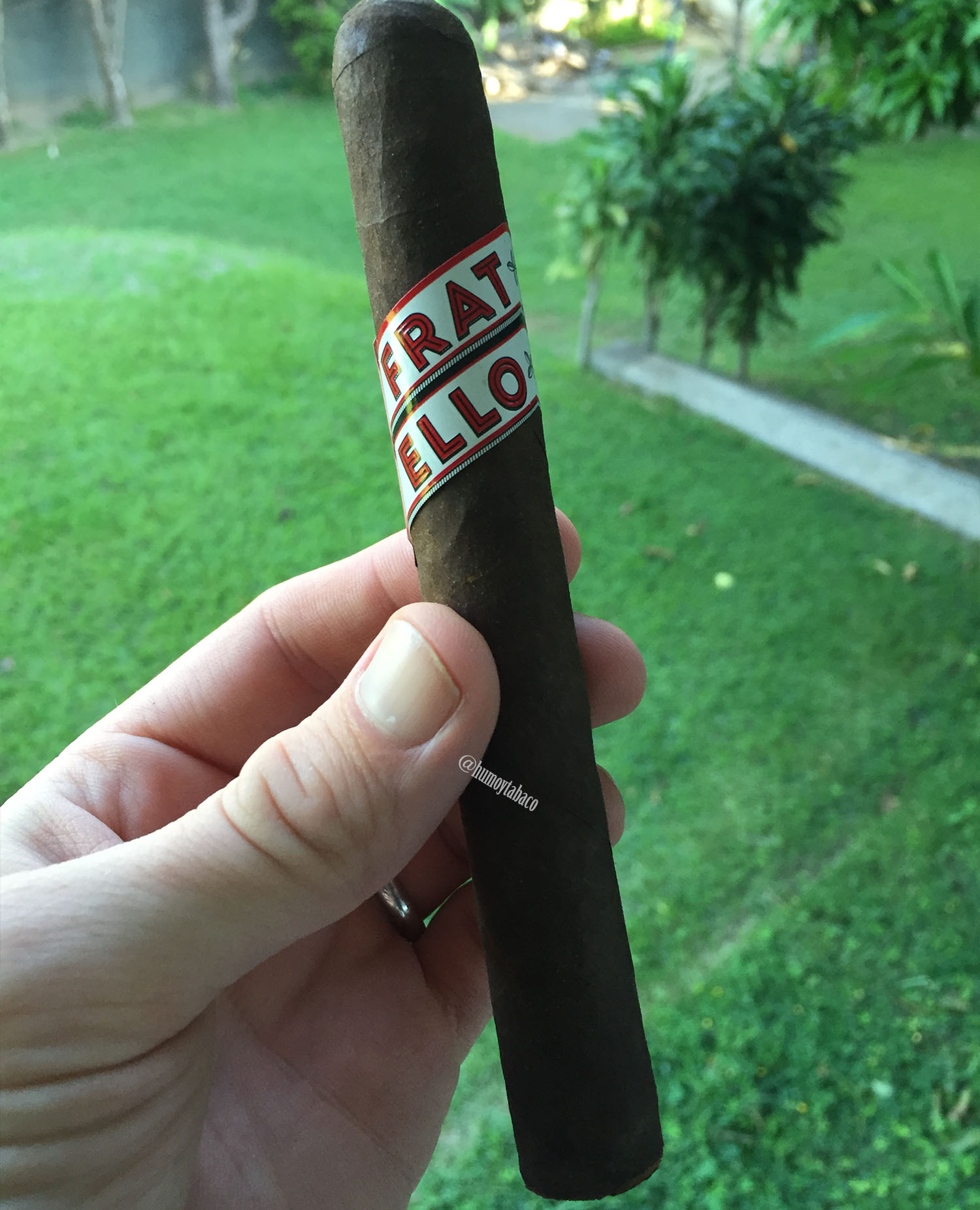 Fratello - Bianco 01