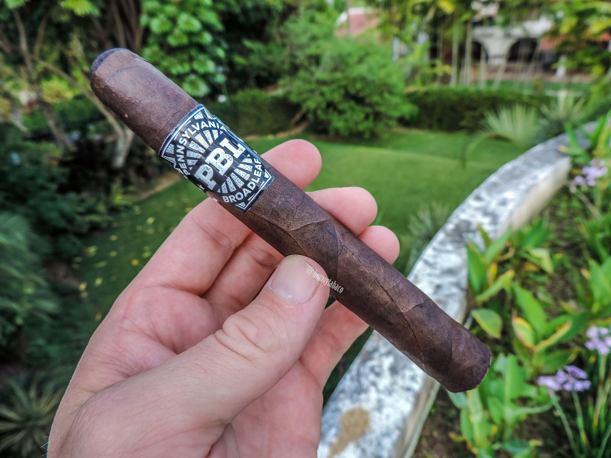 J Fuego - Pennsylvania Broadleaf 01