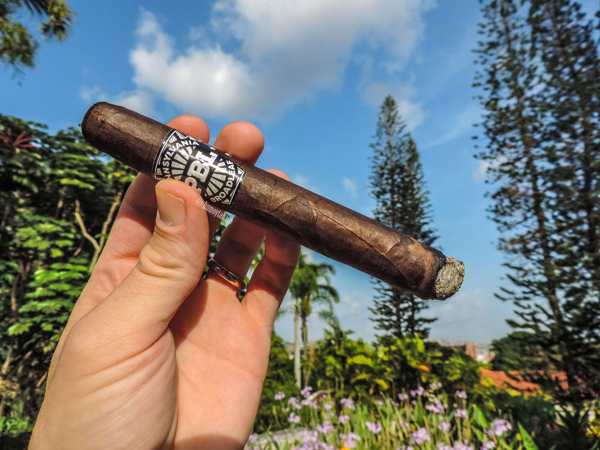 J Fuego - Pennsylvania Broadleaf 02