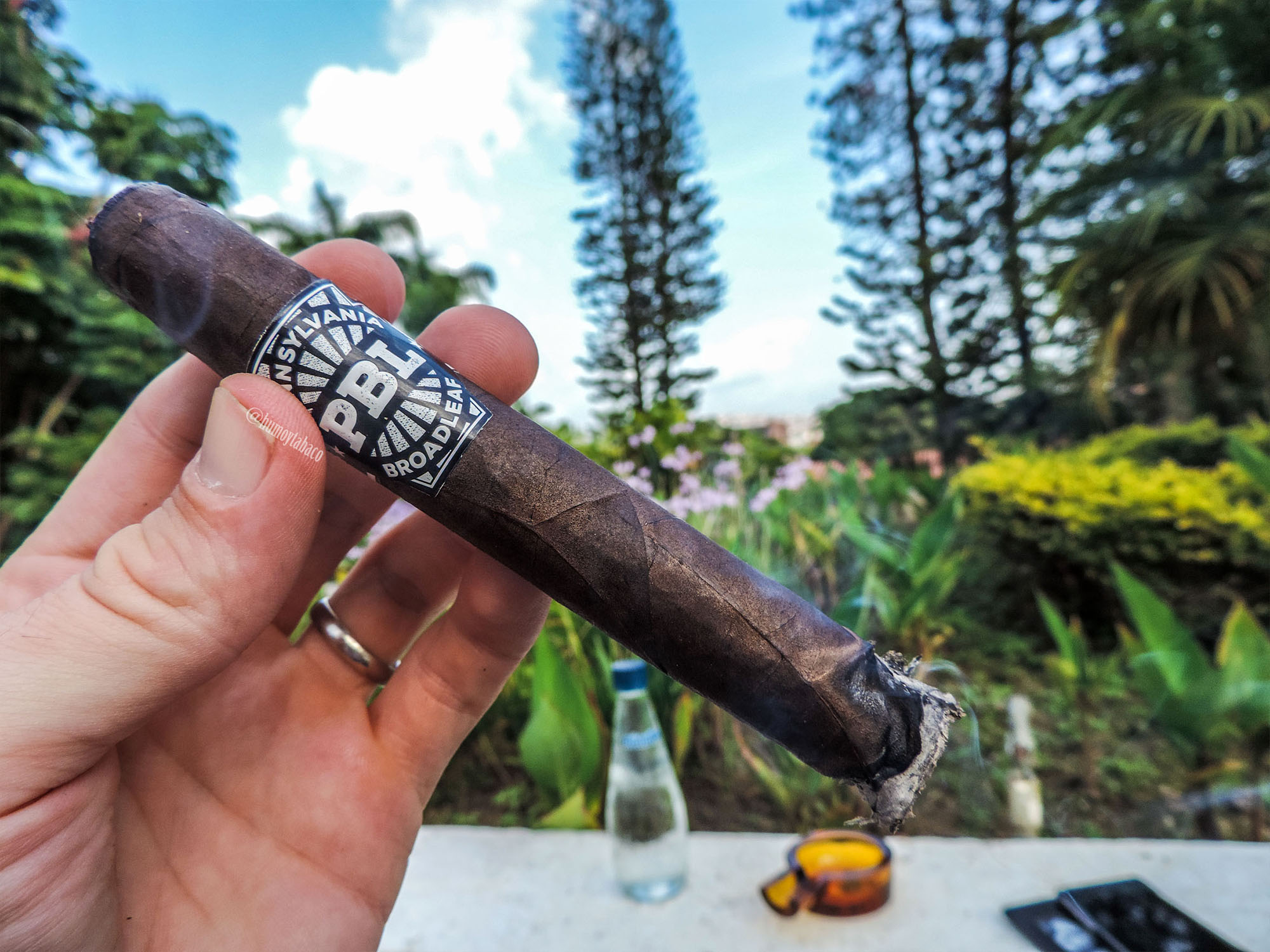 J Fuego - Pennsylvania Broadleaf 03