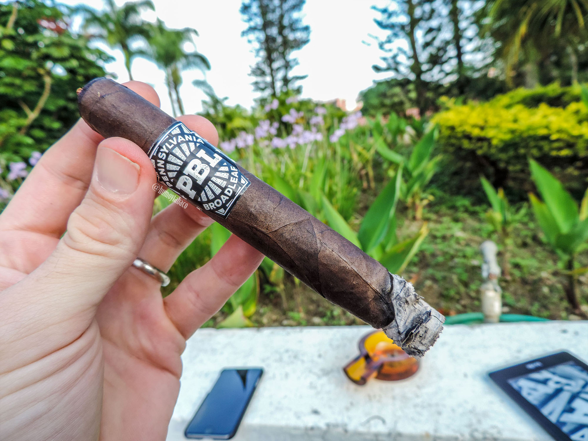 J Fuego - Pennsylvania Broadleaf 04