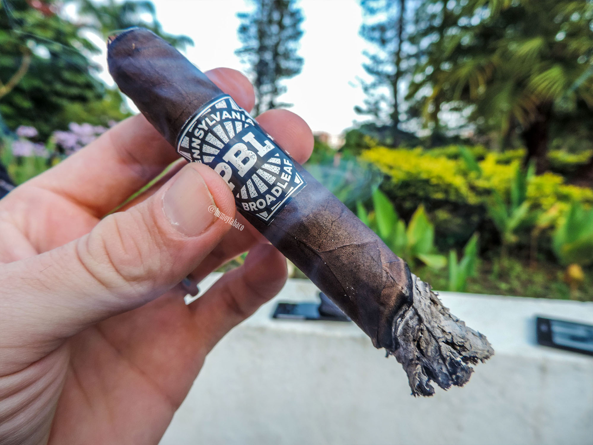 J Fuego - Pennsylvania Broadleaf 05