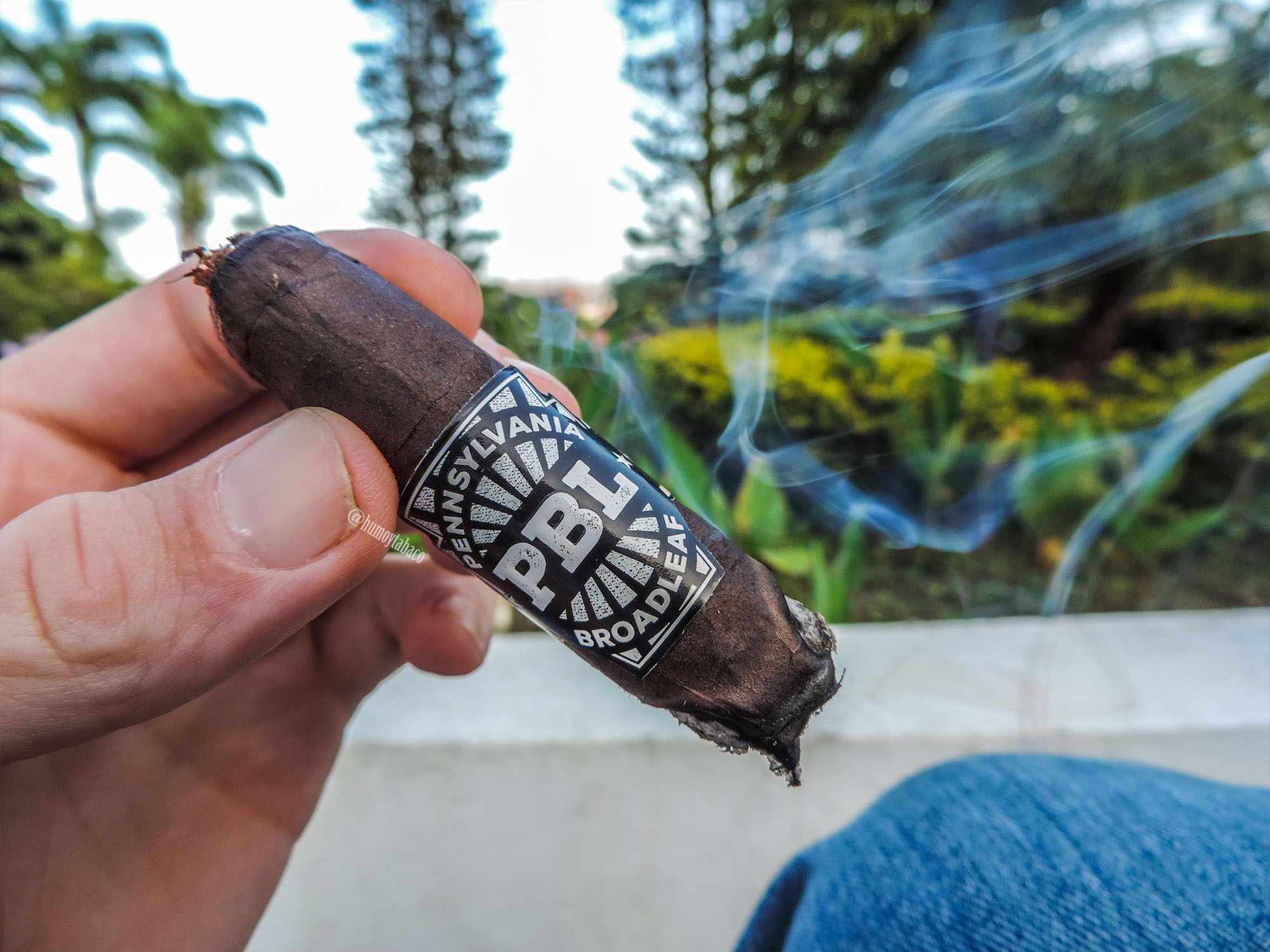 J Fuego - Pennsylvania Broadleaf 06