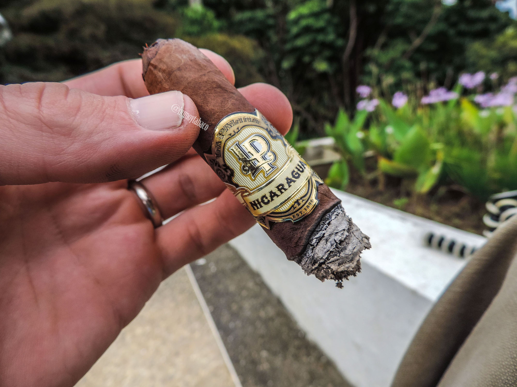 La Palina - Nicaragua Oscuro 06