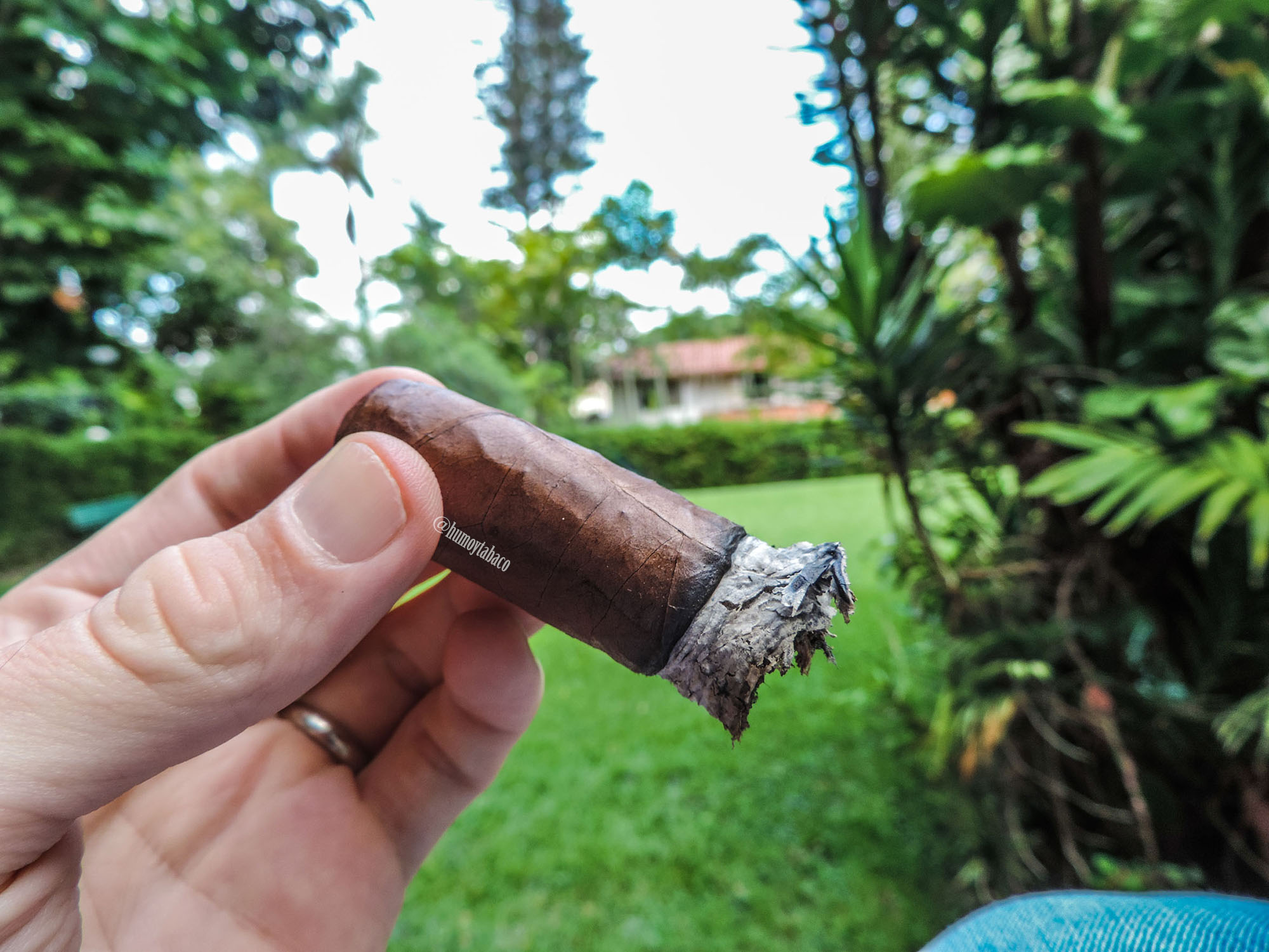 Punch - Signature 06