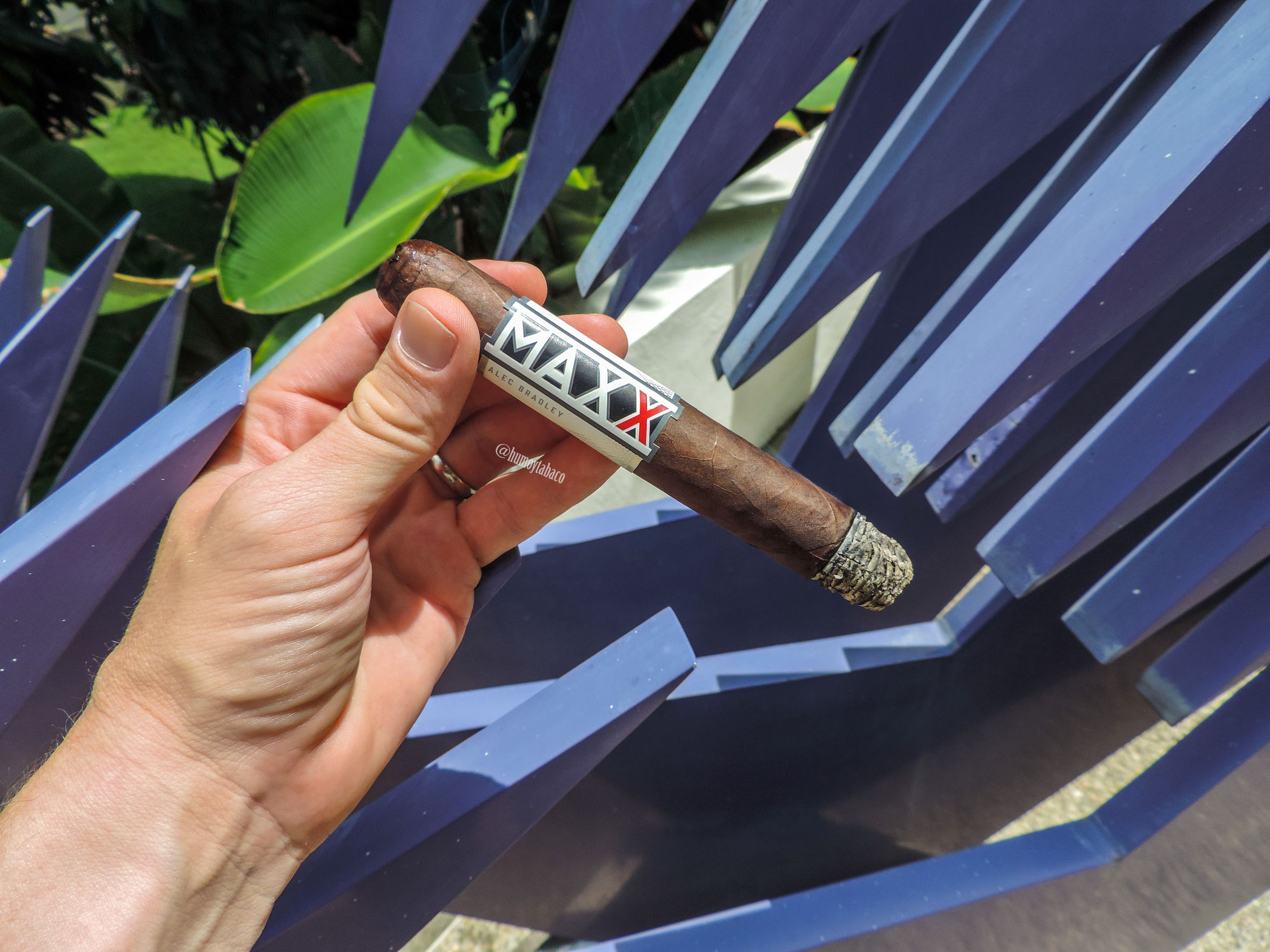 Alec Bradley - Maxx 03