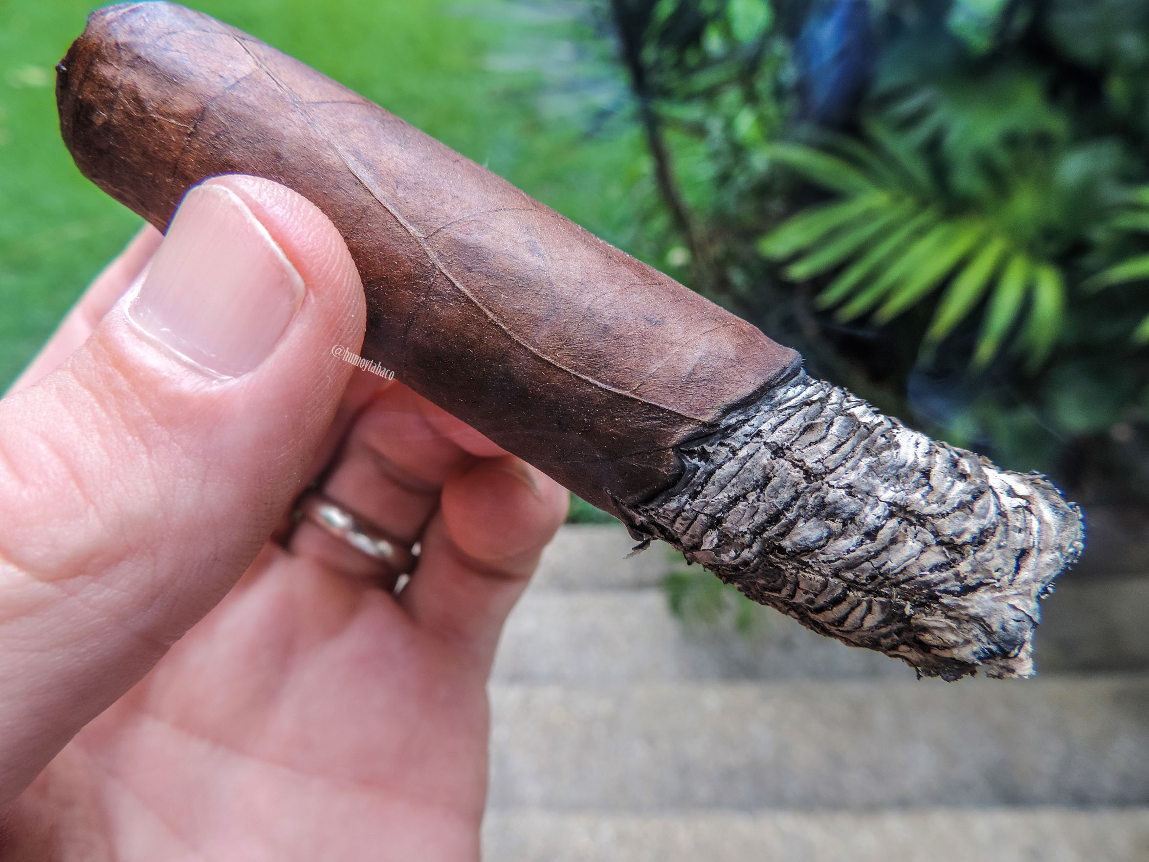 Alec Bradley - Maxx 06