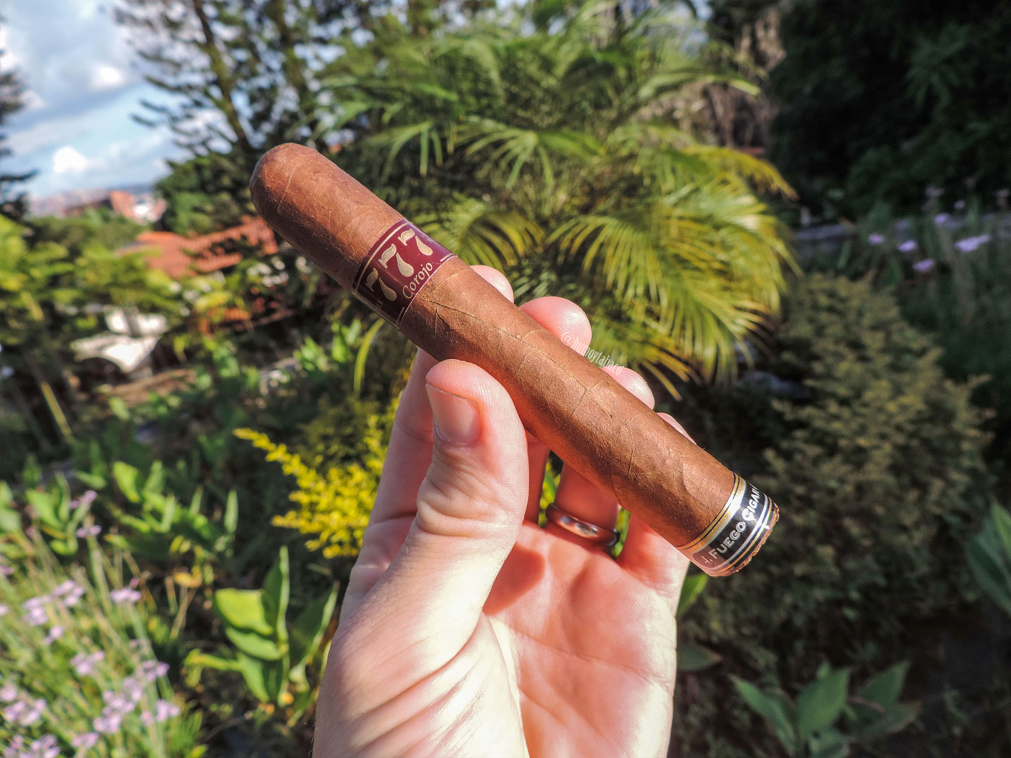 J Fuego - 777 Corojo 01