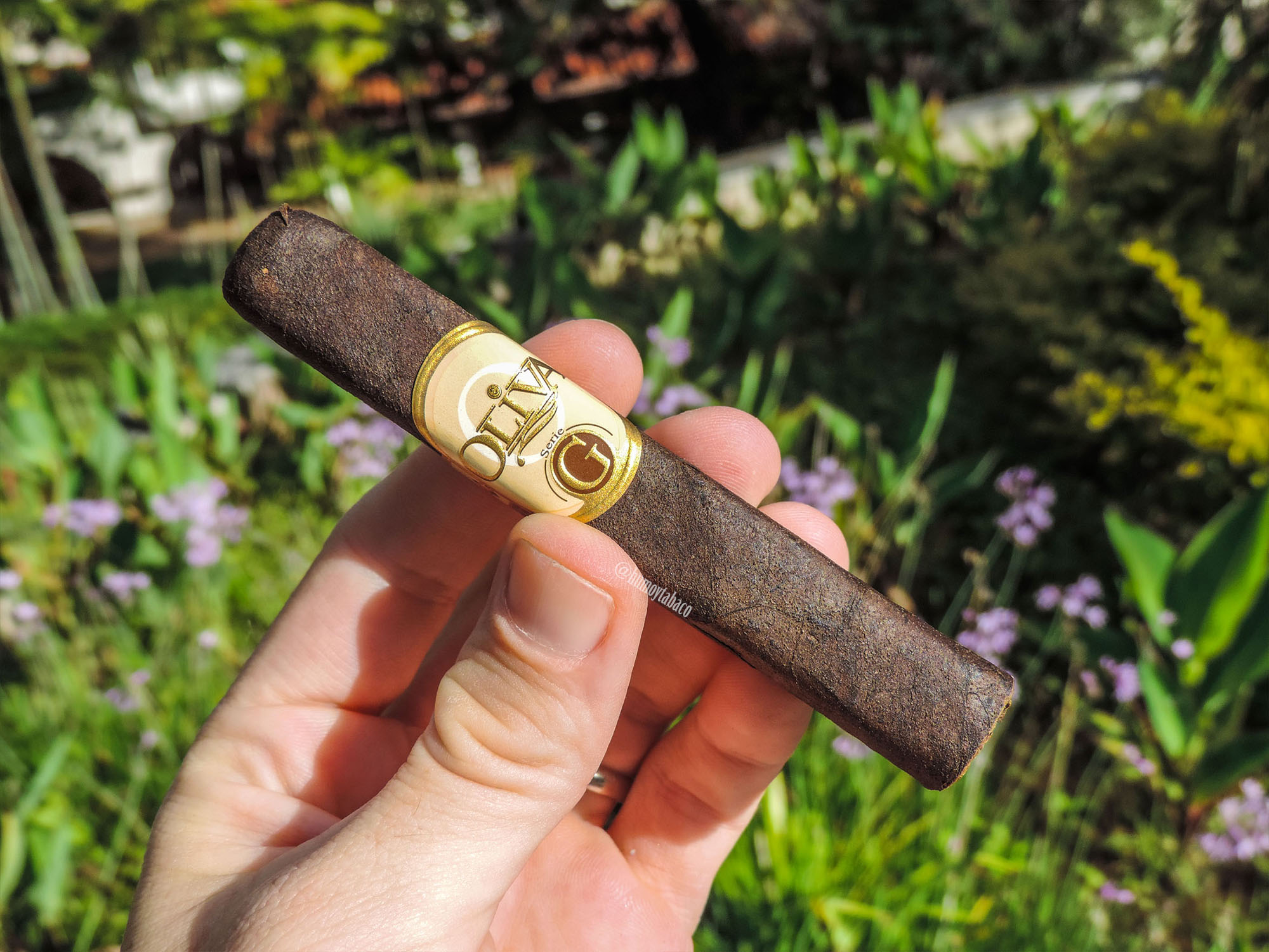 Oliva - Serie G Maduro 01