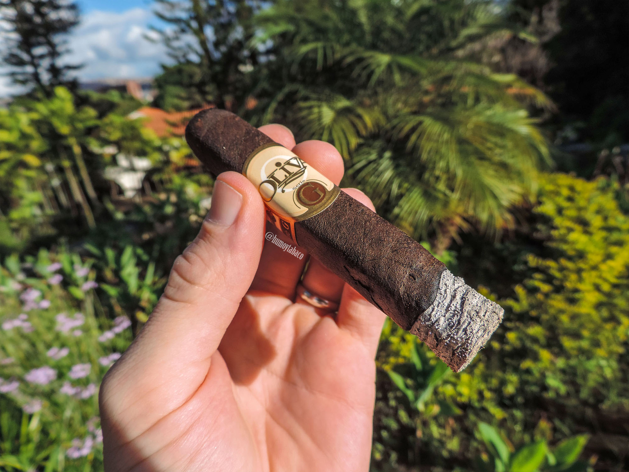 Oliva - Serie G Maduro 03