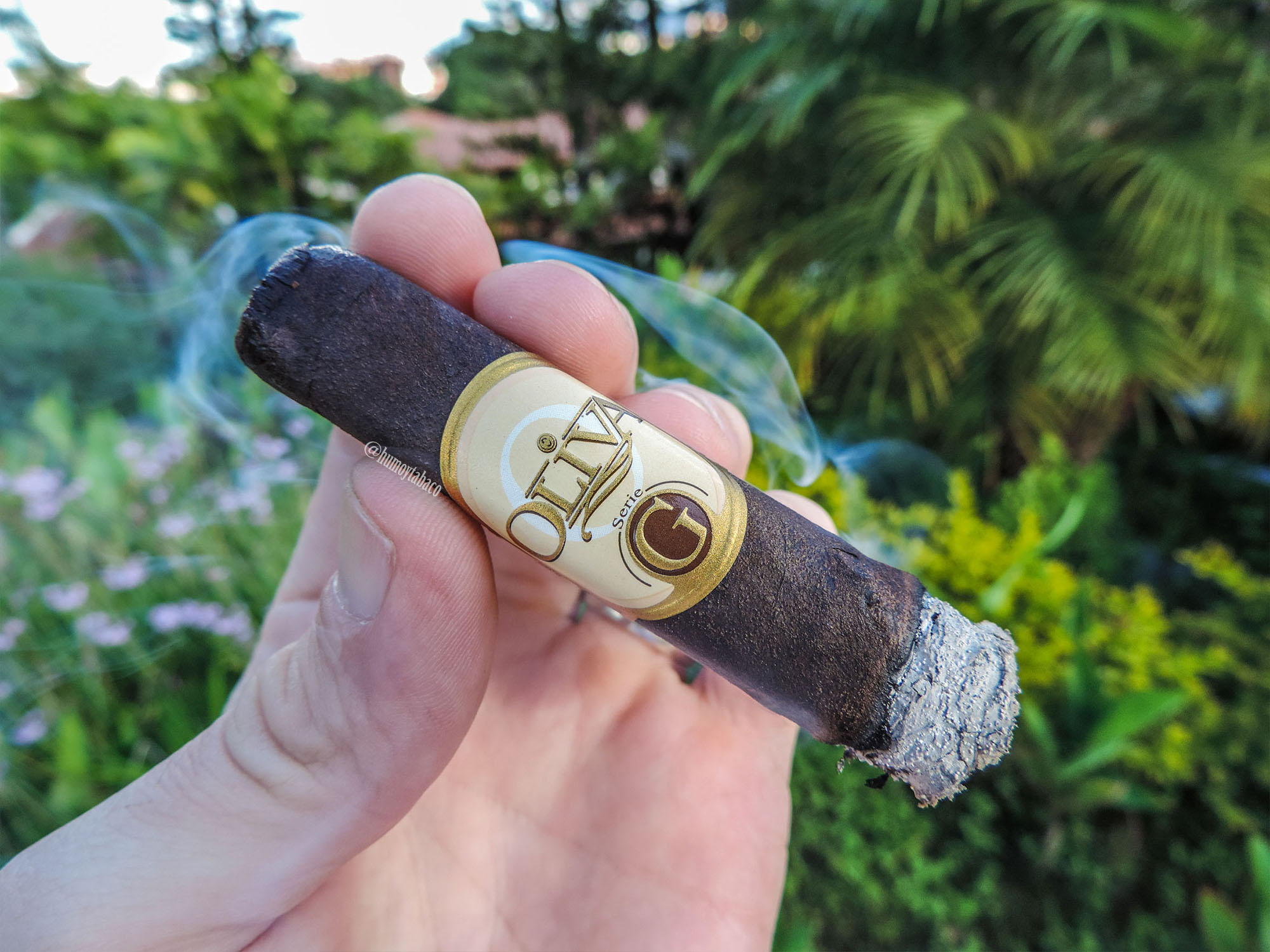 Oliva - Serie G Maduro 04