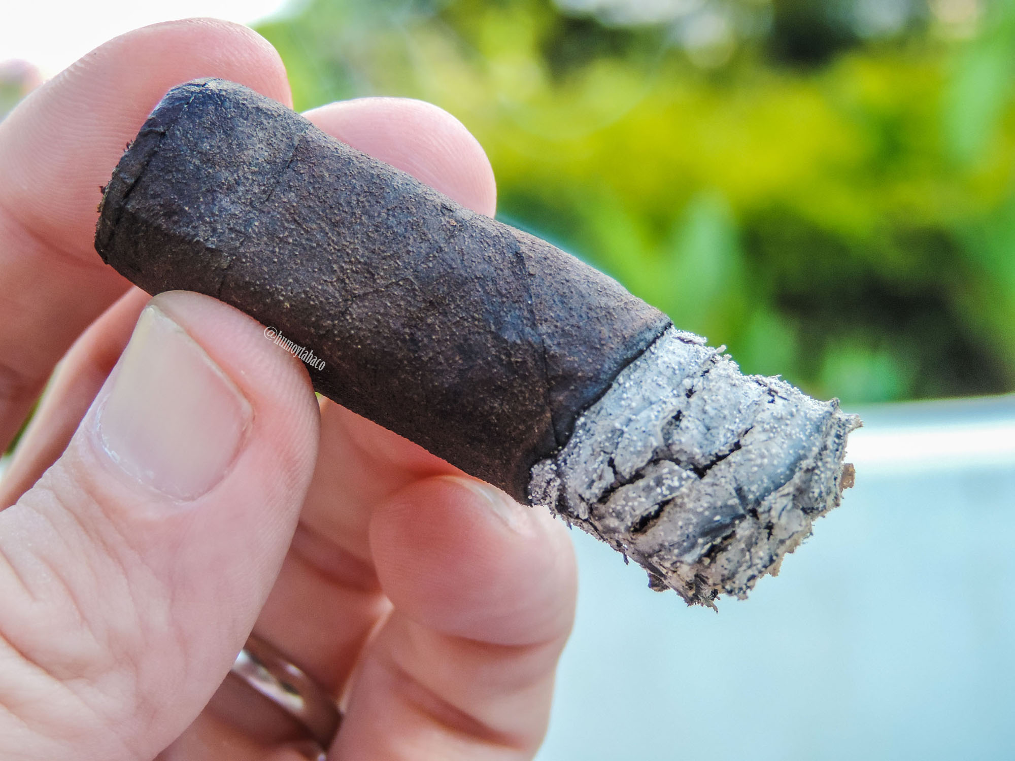 Oliva - Serie G Maduro 06