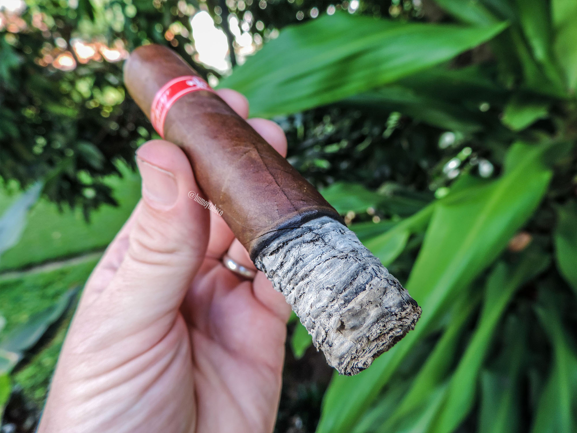 Tatuaje - Havana VI 03