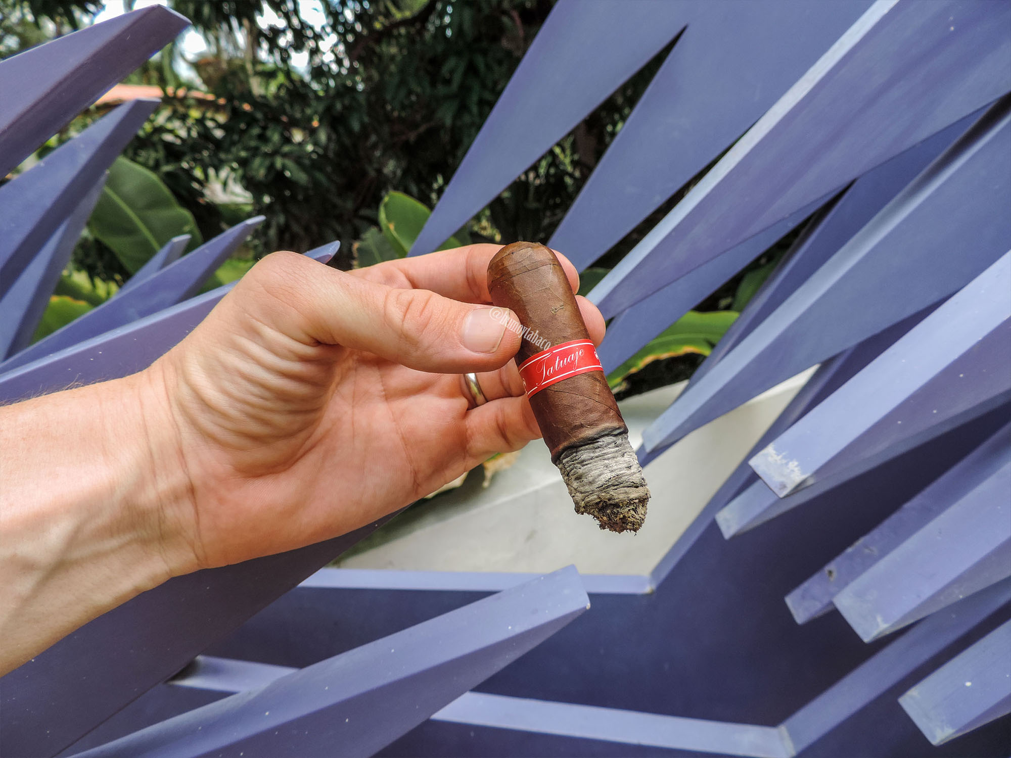 Tatuaje - Havana VI 05