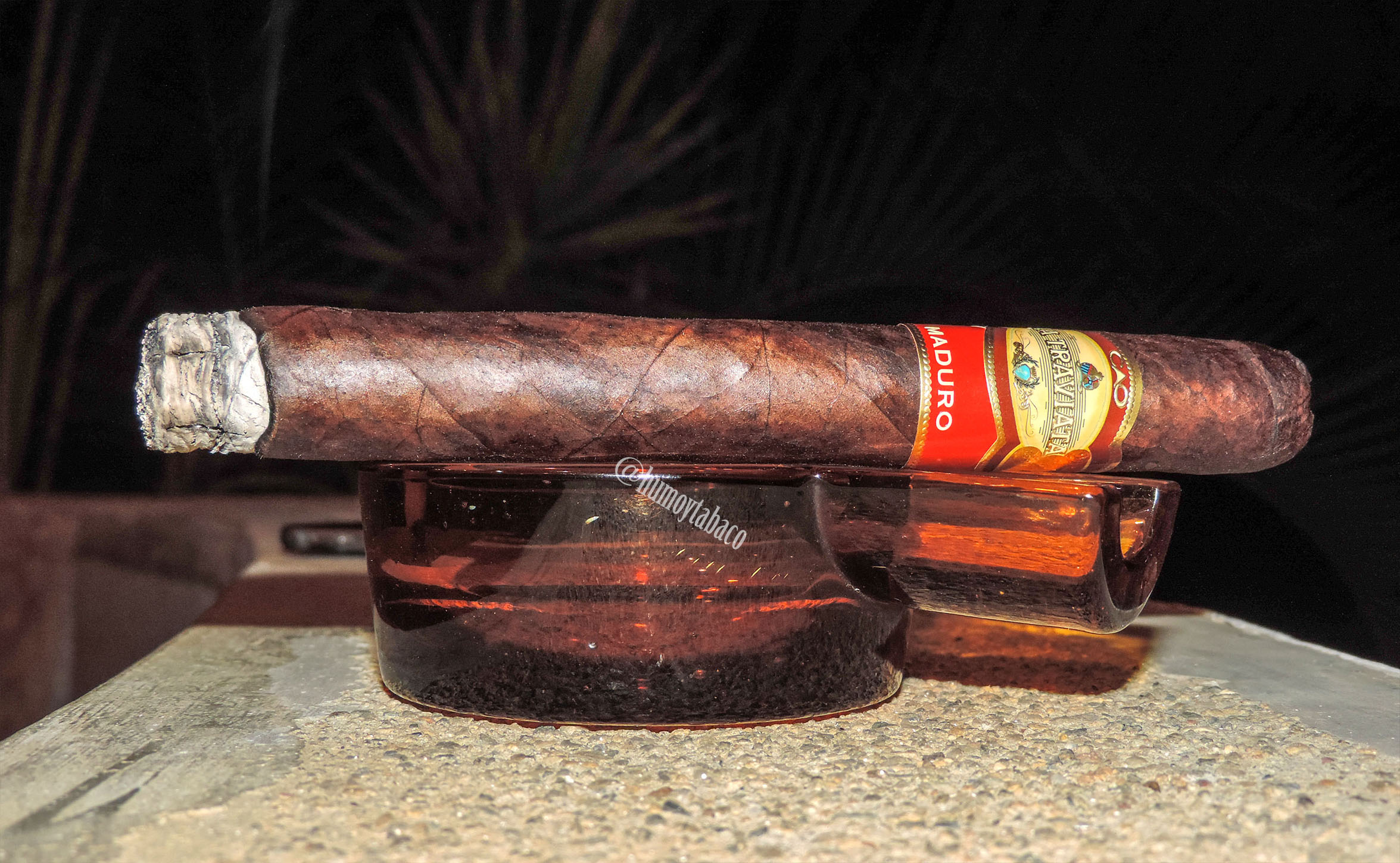 CAO - La Traviata Maduro 02