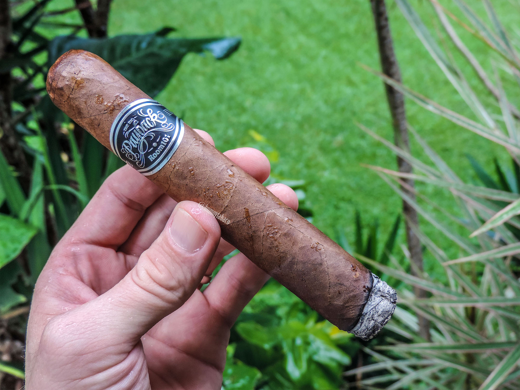 Room 101 - The Big Payback02