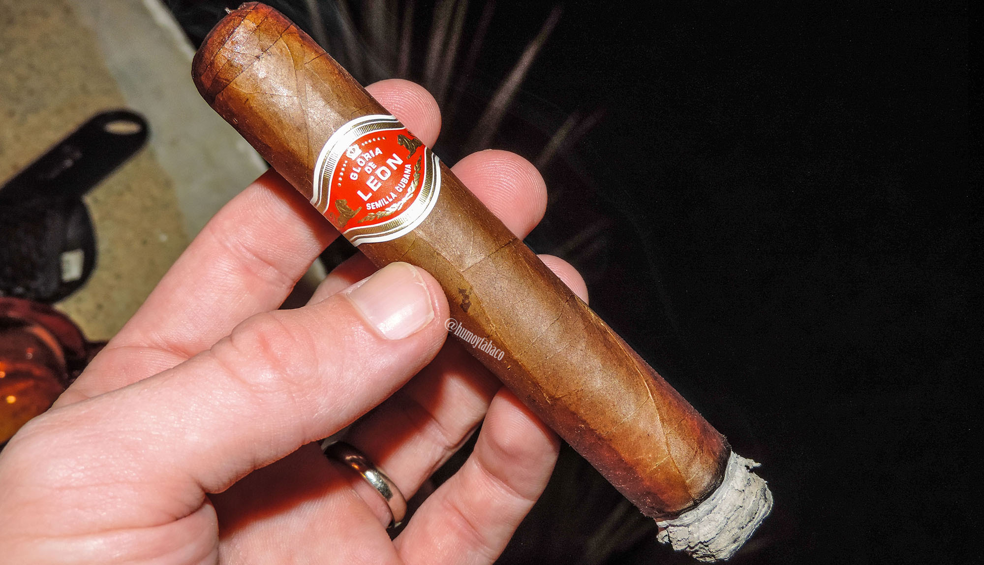 Curivari - Gloria de Leon 02