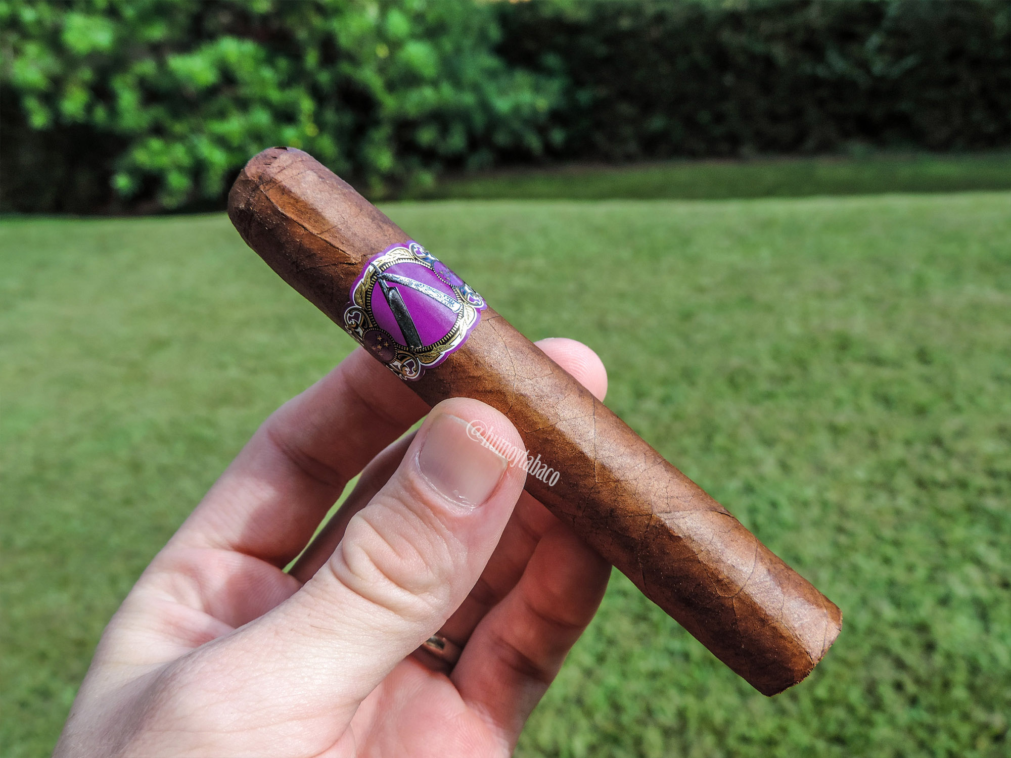 La Barba - Purple 02