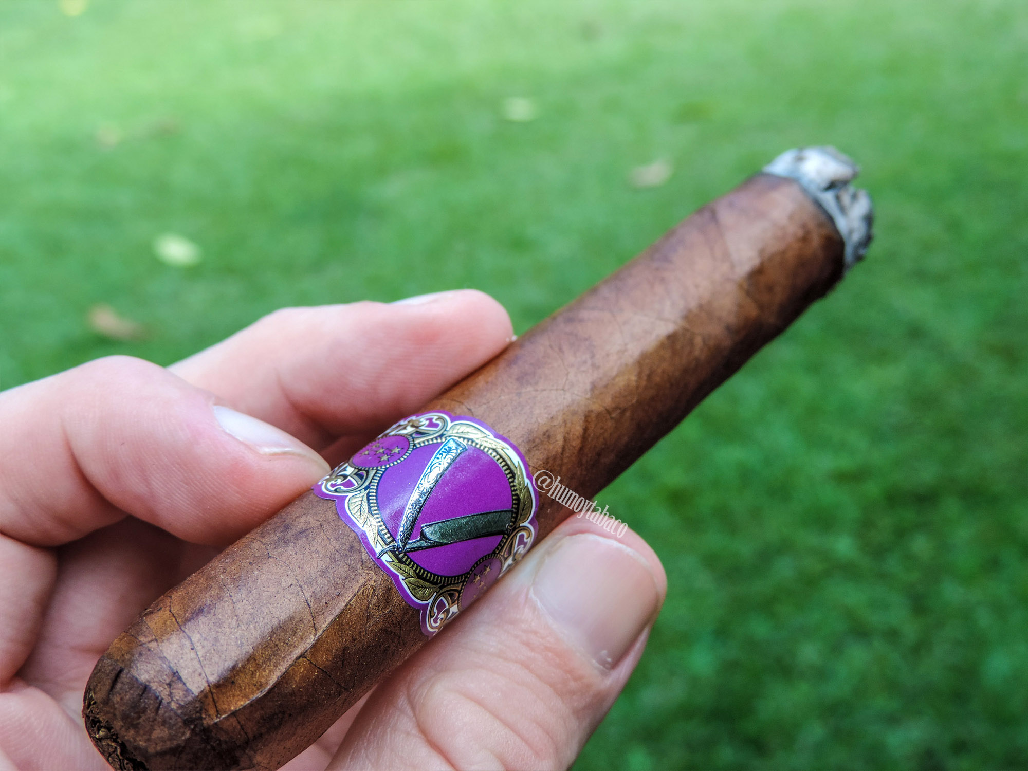 La Barba - Purple 03