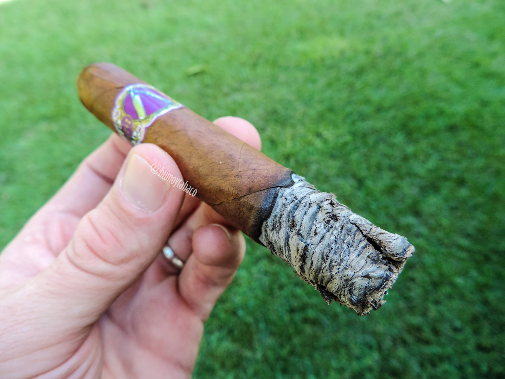 La Barba - Purple 05