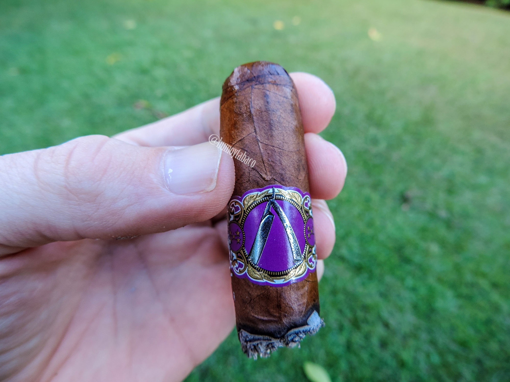 La Barba - Purple 07