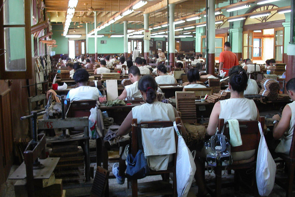 MINOLTA DIGITAL CAMERA